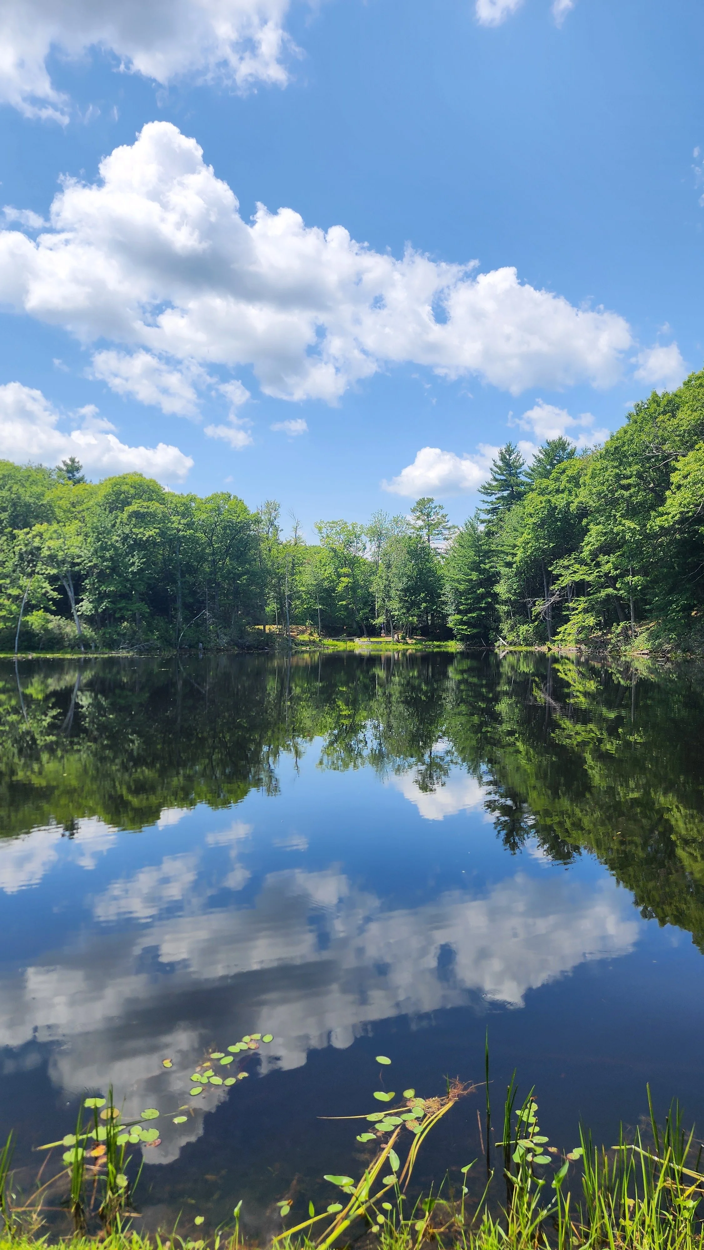 Maple Hill Disc Golf - Leicester MA