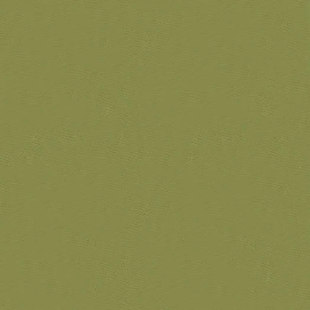 A blurry, solid green background.