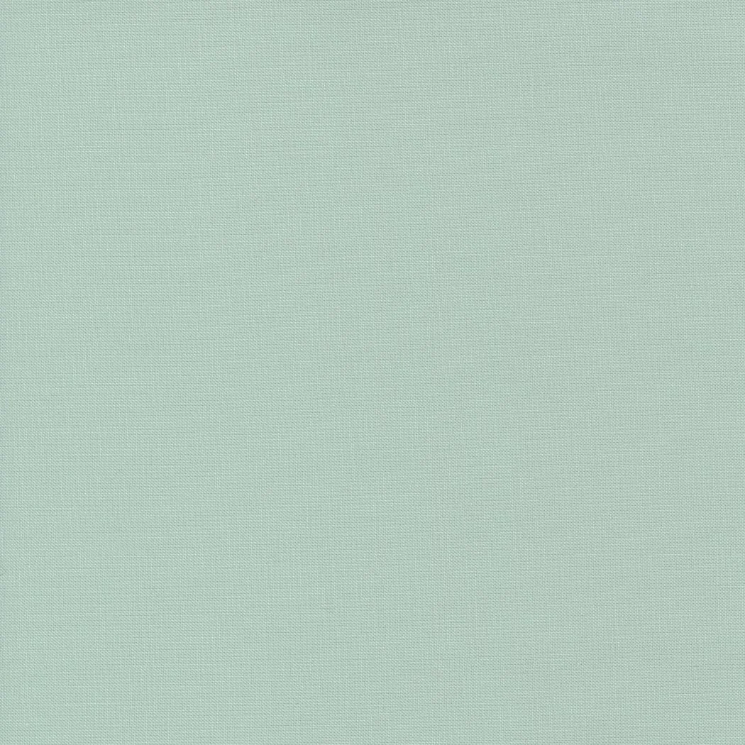 The image is blank with a solid light teal background.