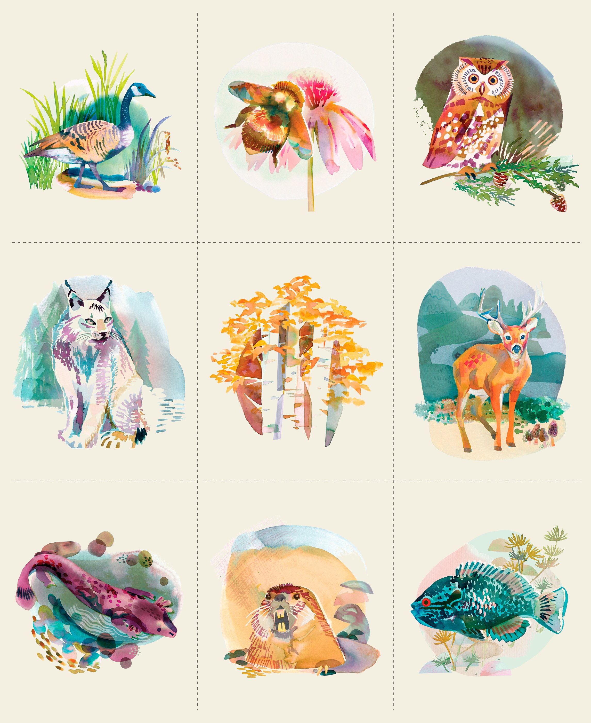A grid of watercolor illustrations of various animals and nature scenes, including birds, a wolf, a lion, a fish, a deer, a tree, and plants.