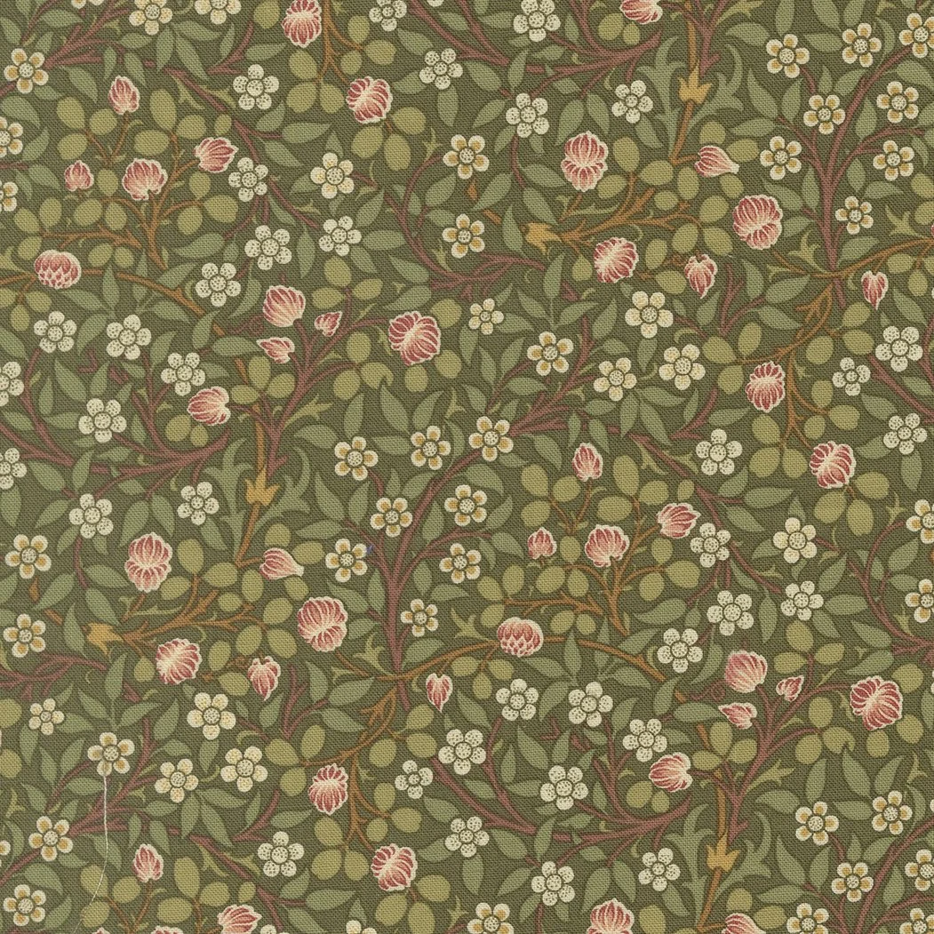 13385 12 - Sage