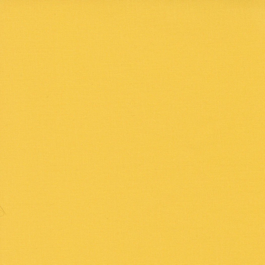Plain yellow textured background.