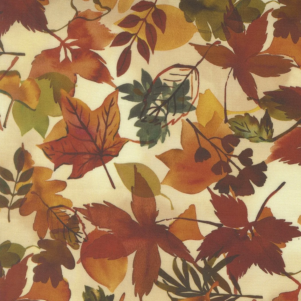 Close-up of colorful autumn leaves in shades of red, orange, yellow, and green.