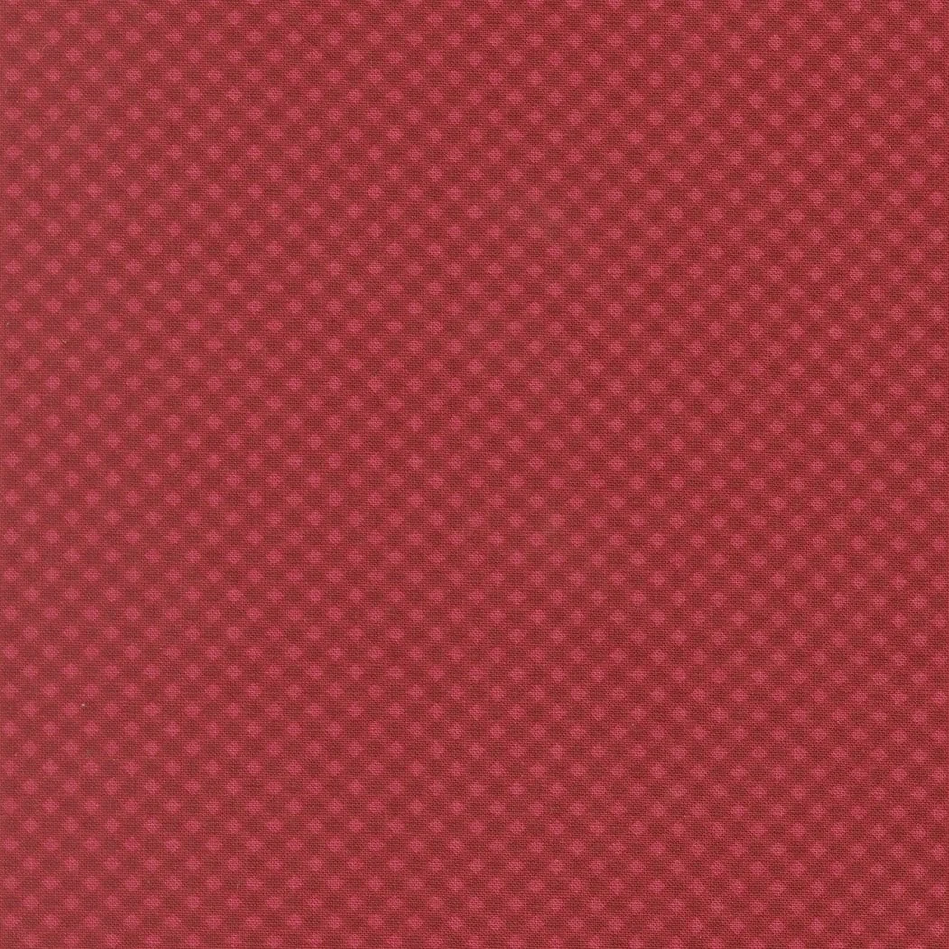 Close-up of a red textured surface with small, evenly spaced pattern.