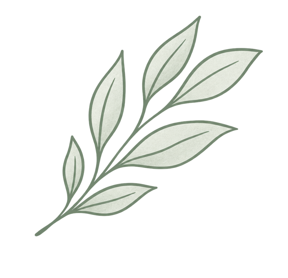 Sketch of a green leafy branch with elongated gray-green leaves.
