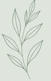 Line drawing of a leafy plant with multiple elongated leaves arranged along a central stem.