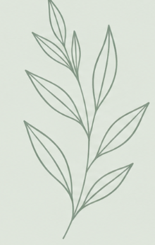 Line drawing of a leafy plant with multiple elongated leaves on a light background.