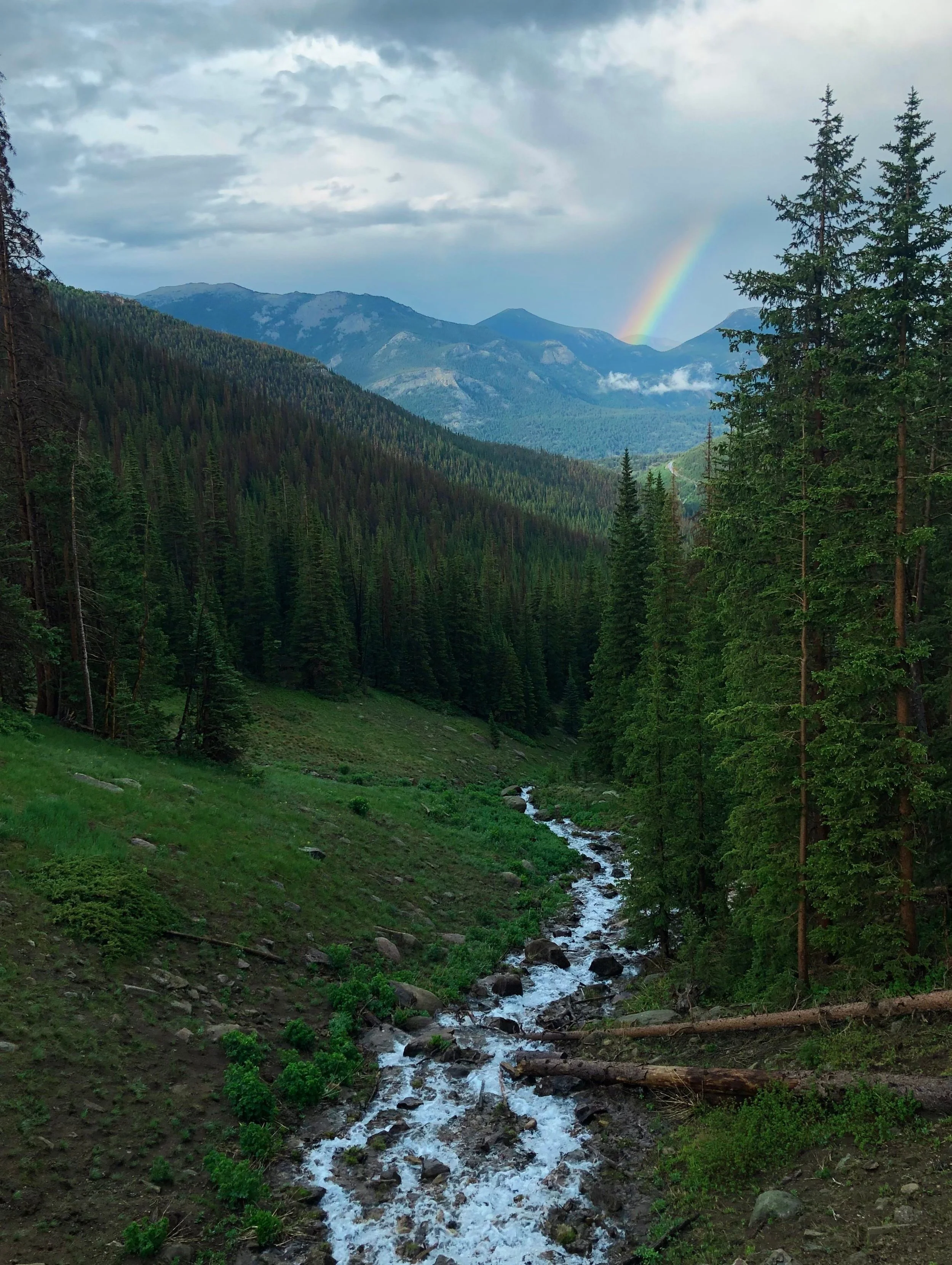 A mountain landscape with green pine trees, a small stream flowing through the valley, and a rainbow in the sky among cloudy weather.
