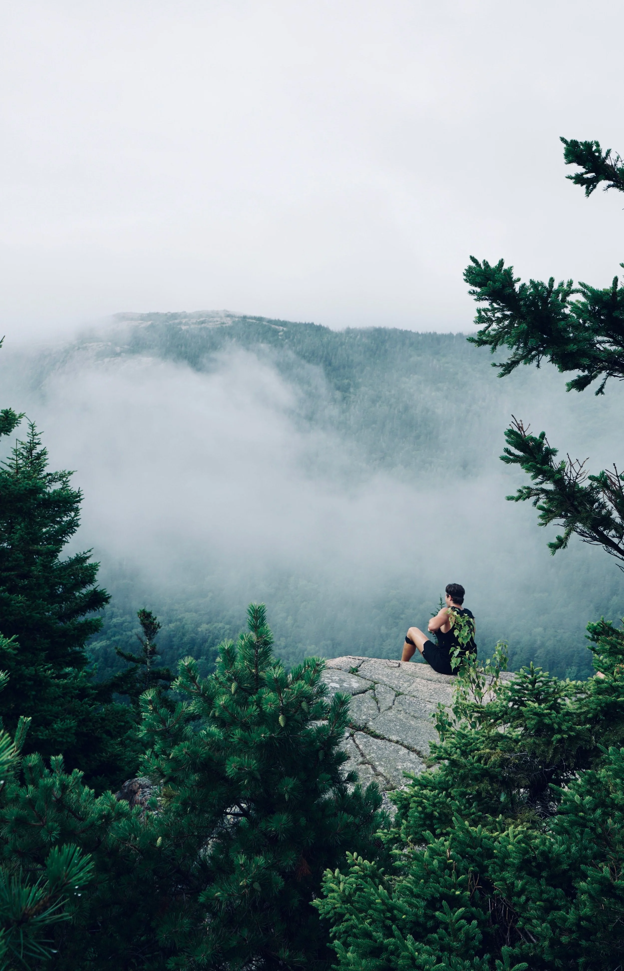 A person sitting on a rock ledge overlooking a misty green forested mountain landscape, surrounded by pine trees with a foggy sky.