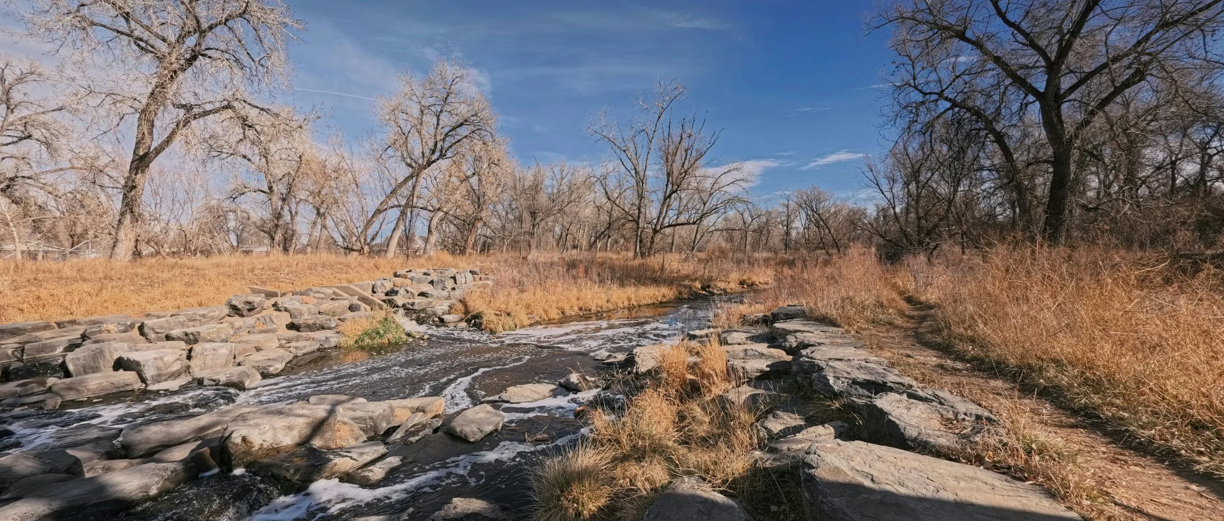 A landscape path through changing seasons