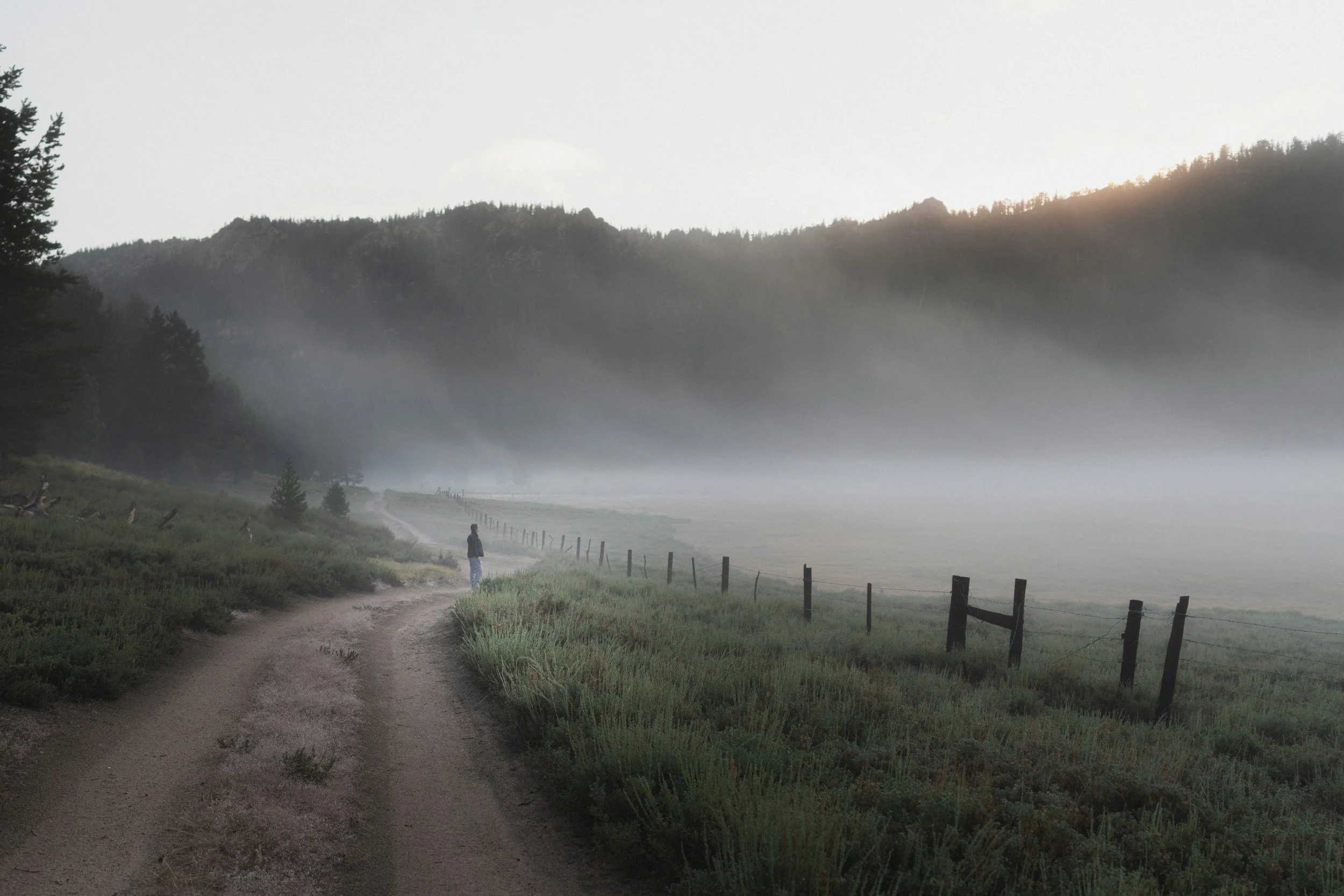 Sunrise over a mountain meadow with soft mist in the valley