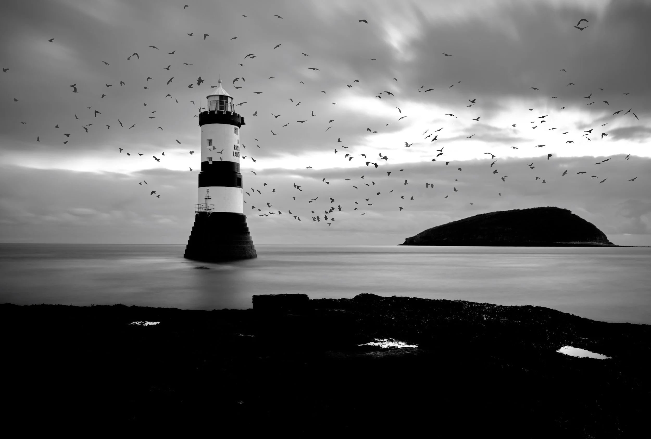 A black and white photograph of the Trwyn Du lighthouse with birds flying overhead and Puffin Island behind