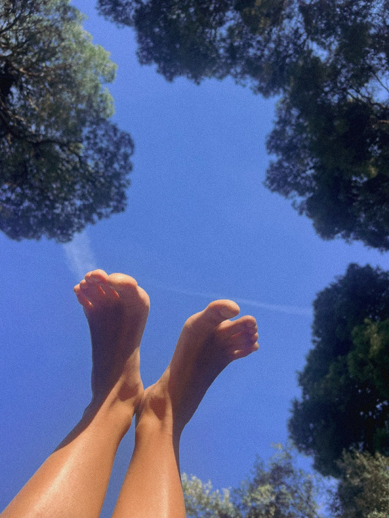 Happy feet reaching upward towards the clear blue sky, with trees surrounding the area.