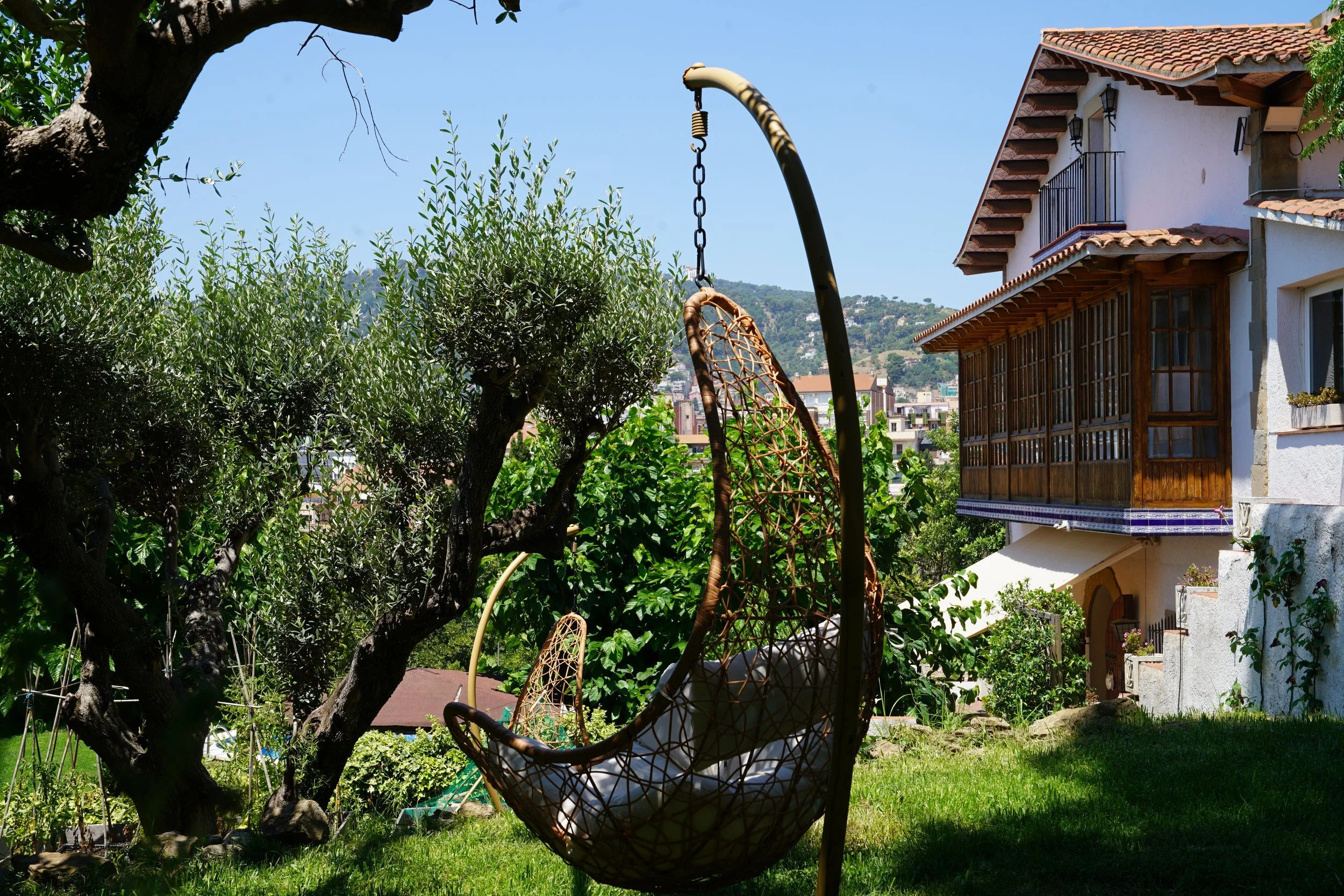 A backyard garden with a tree, lounge chairs, greenery, and a view of neighboring houses and hills under a blue sky.