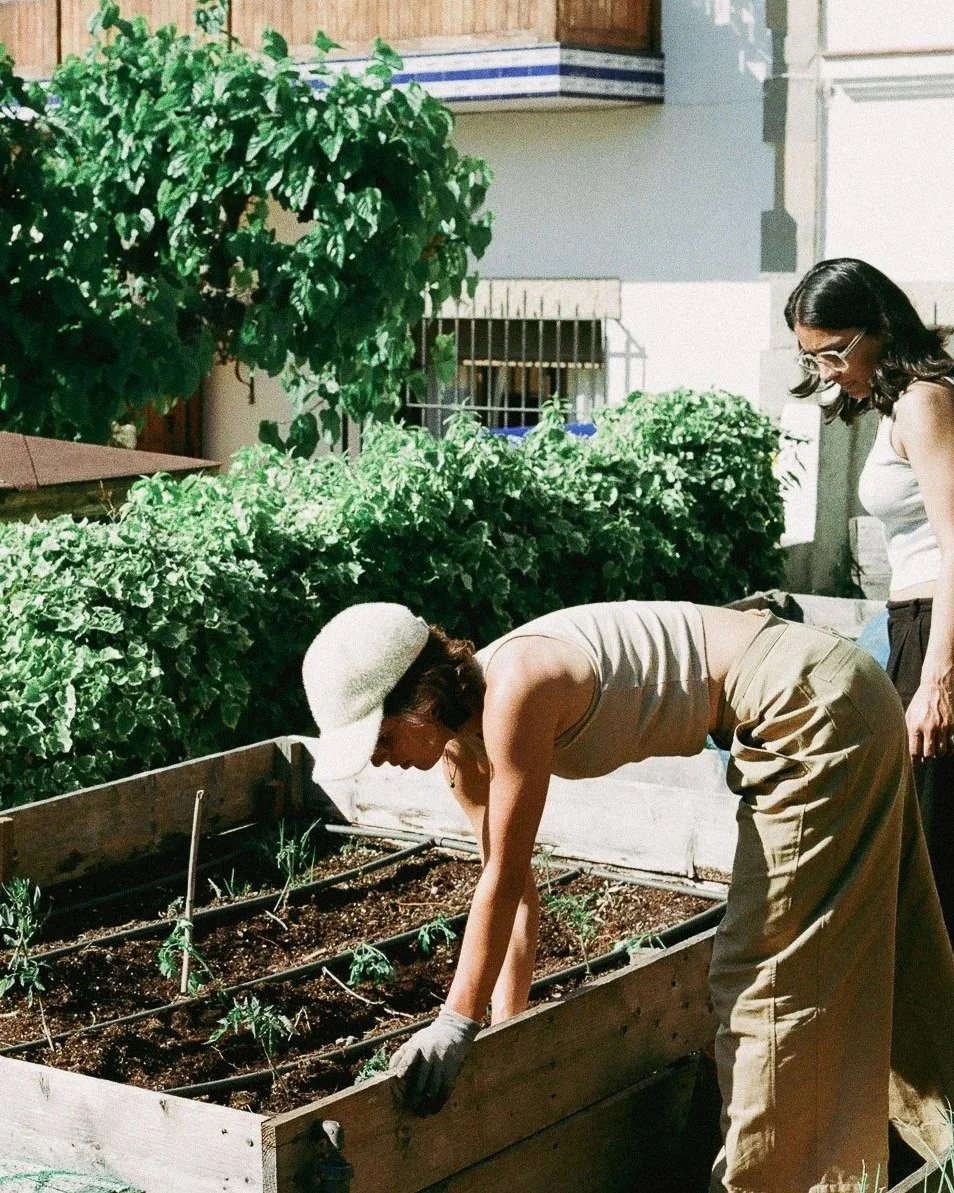 Gardening and regenerative practices. A coliving where you get to grow your own food.