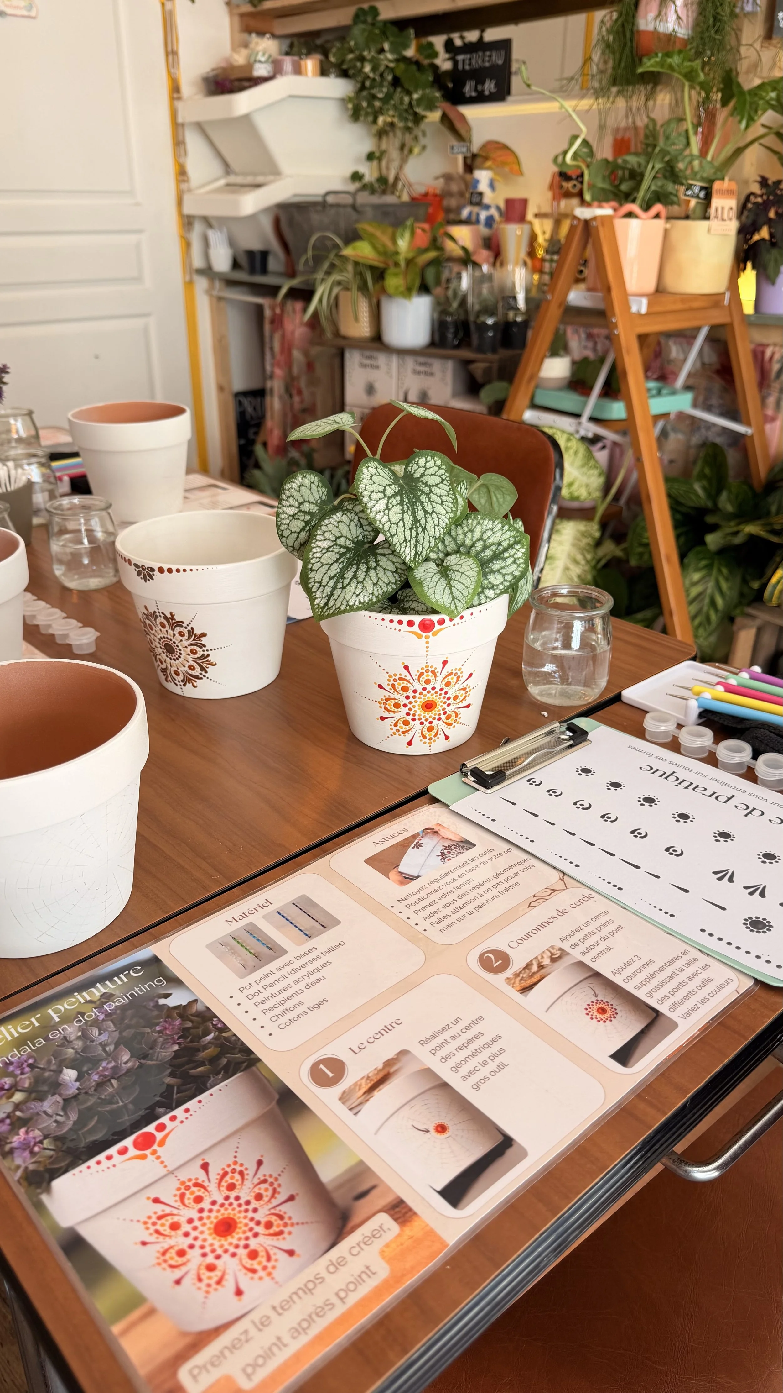 The image shows a table with several plant pots, some with green plants, and a set of craft or painting materials including a instruction sheet, brushes, and paint palette.