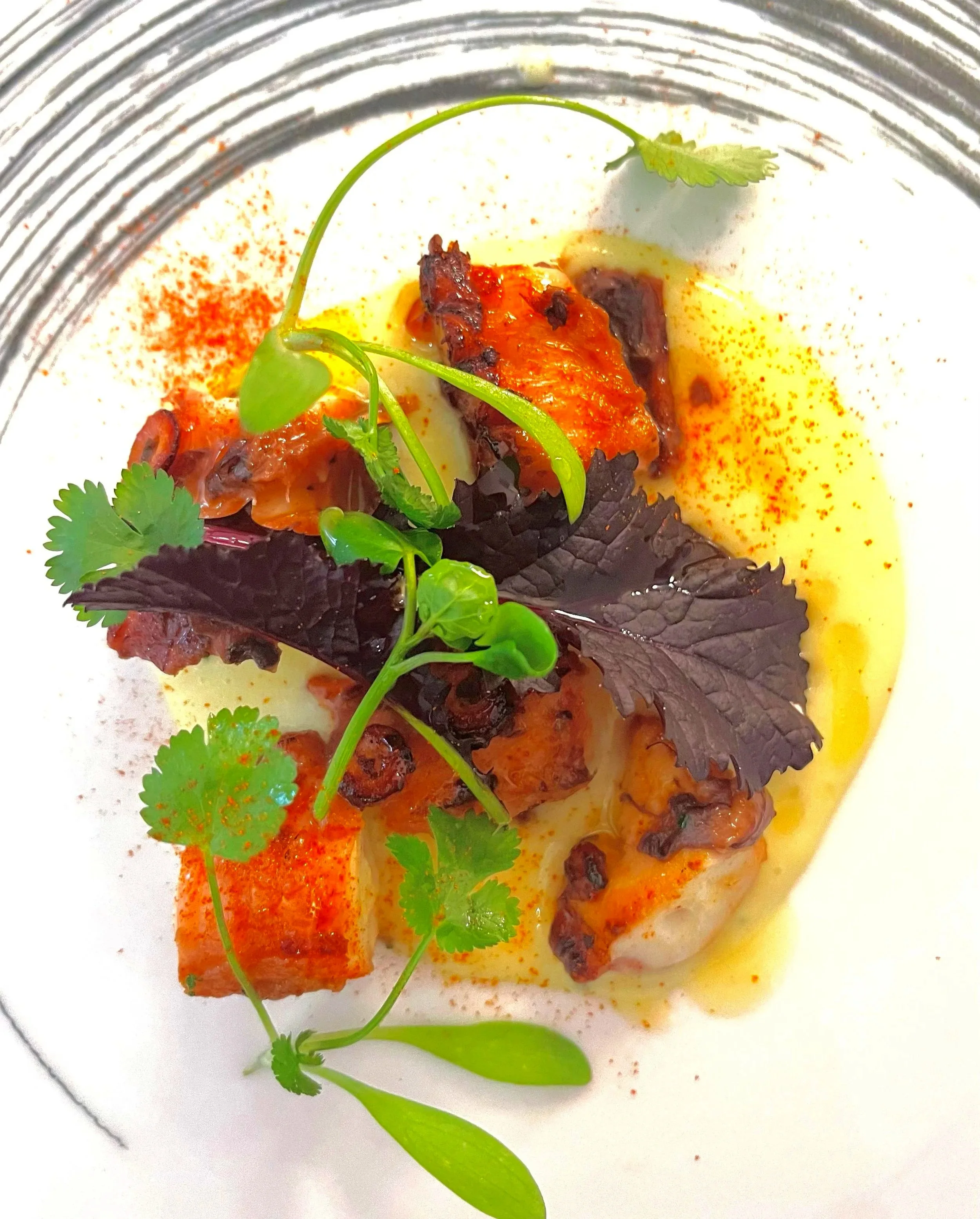 Piatti di pesce con salsa gialla, paprika, coriandolo e rucola, decorati con erbe fresche e arancini
