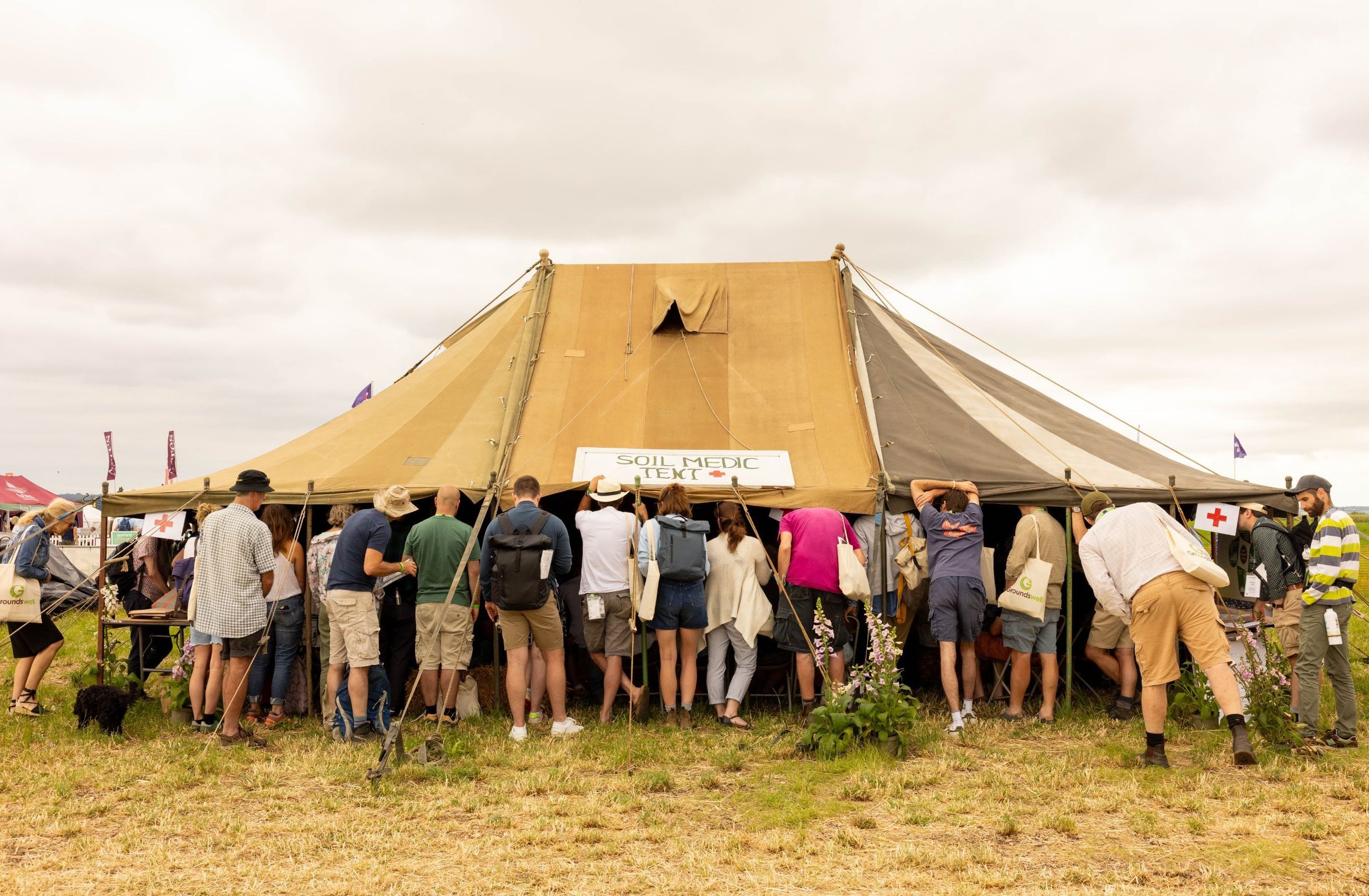 Groundswell4.jpg
