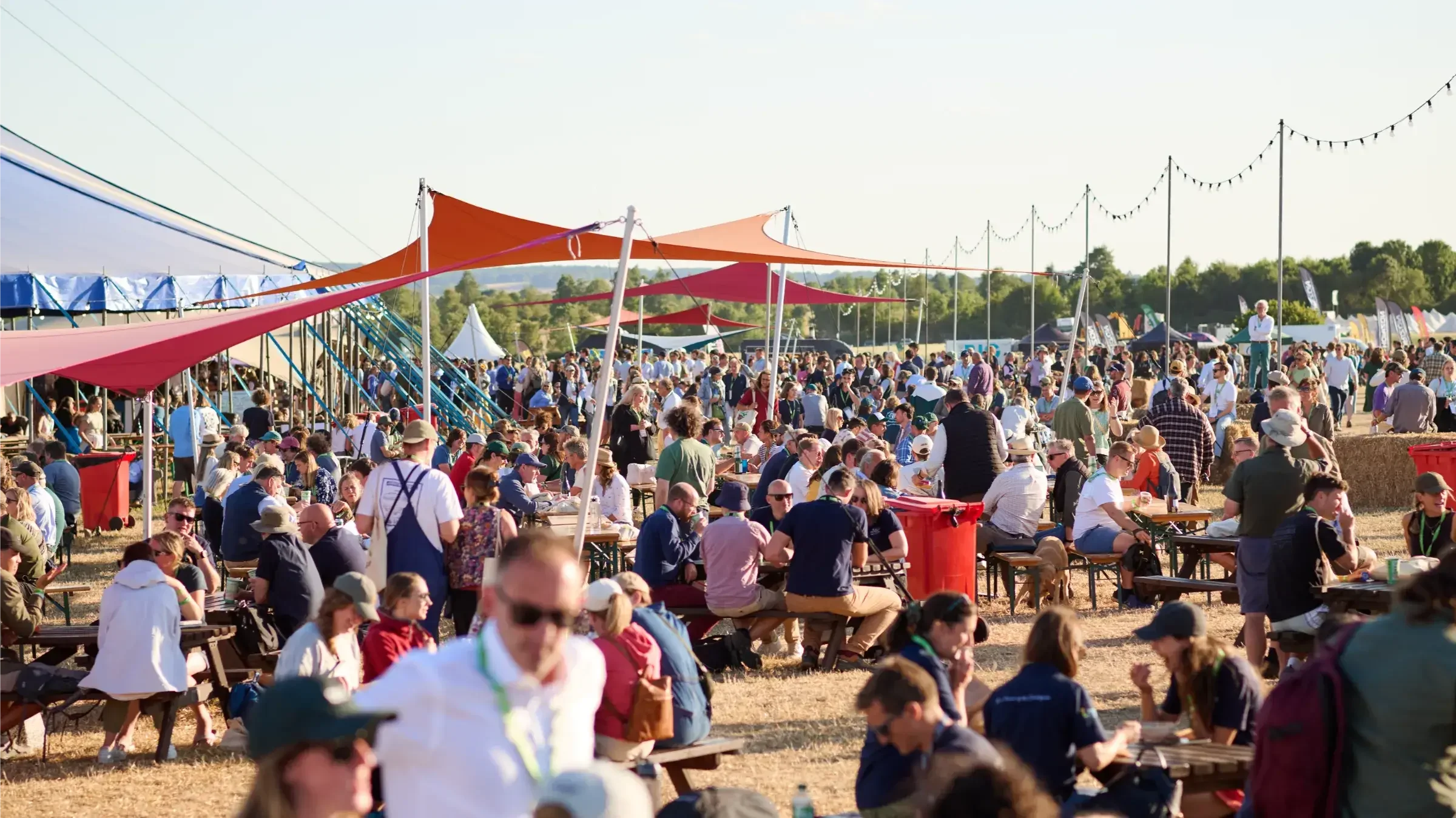 Groundswell fest.webp