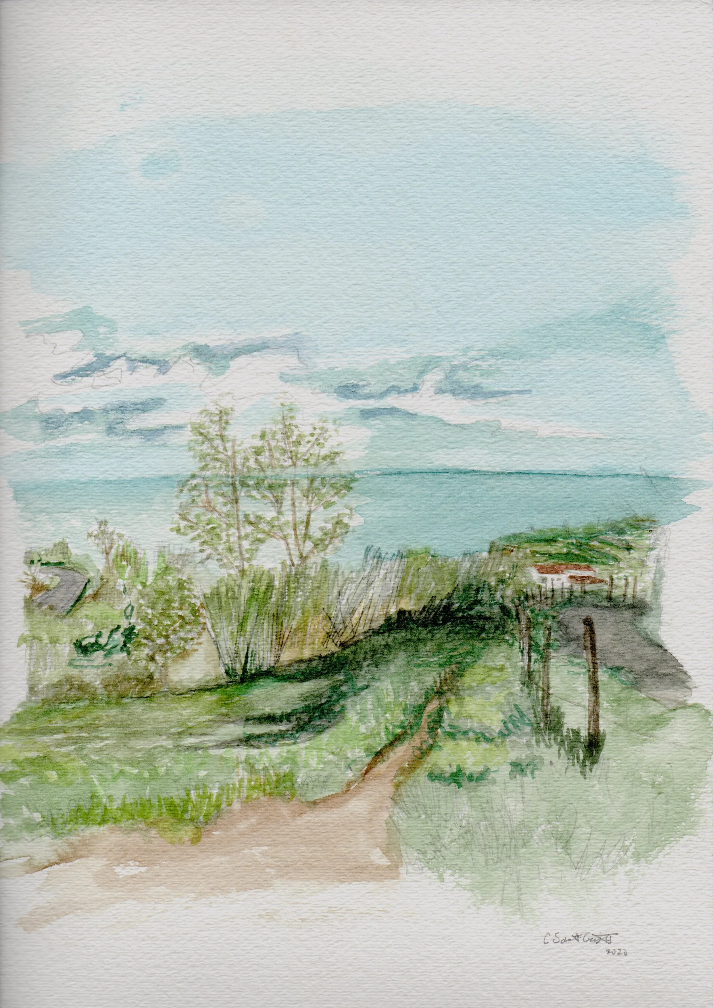 Two Trees - Fazenda