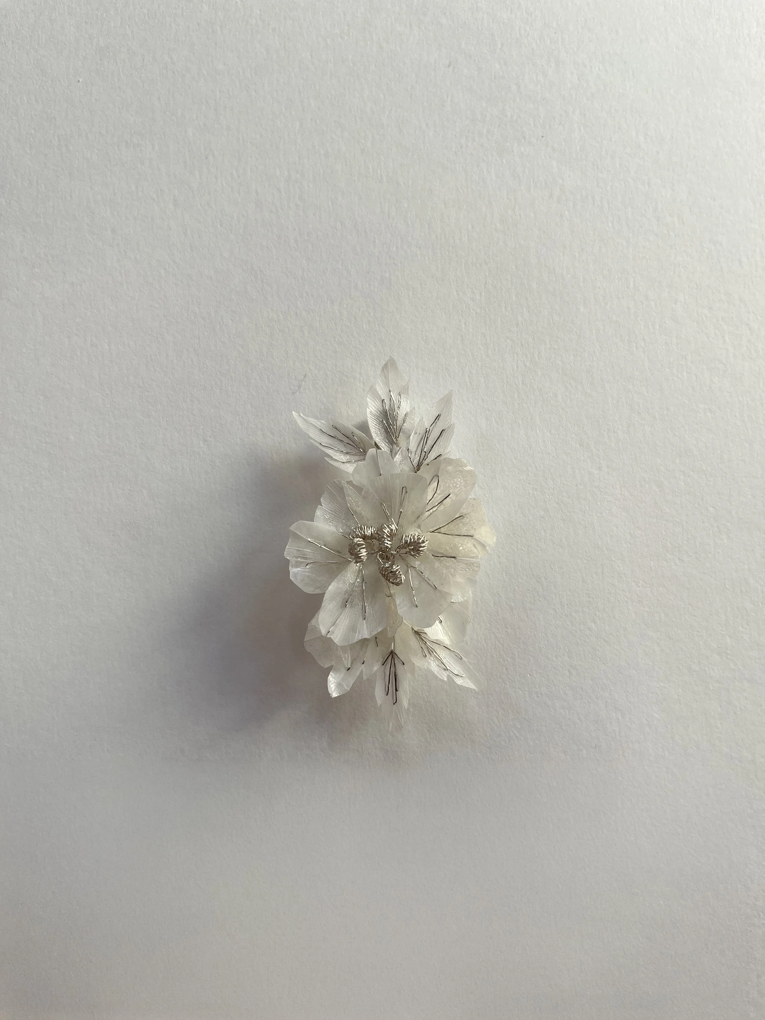 image00006.jpg