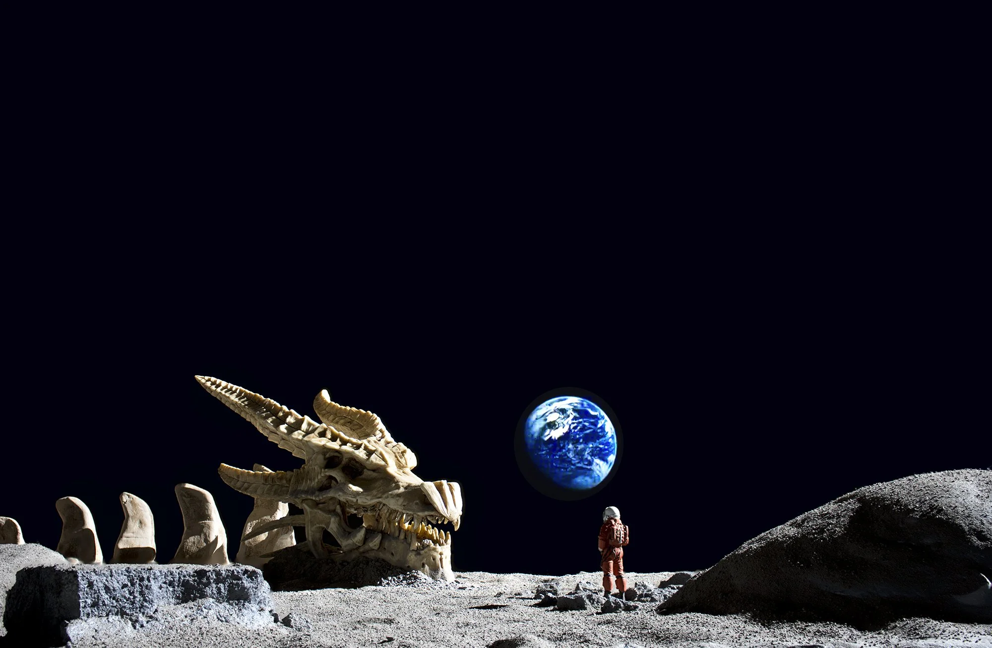 discovery.jpg