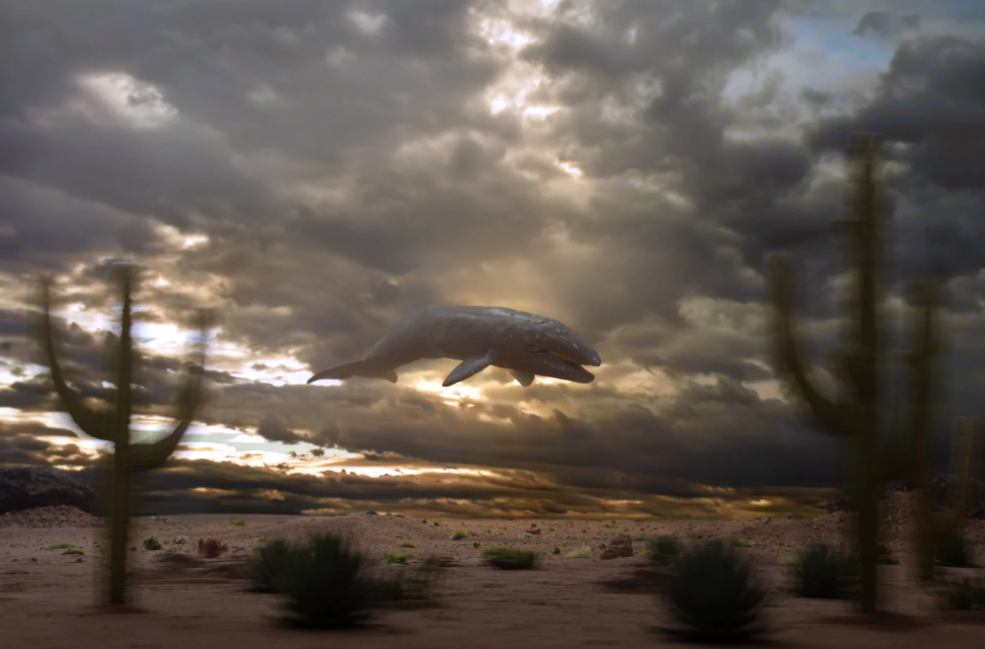 umbralis3.jpg