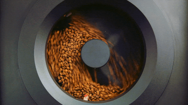 Coffee beans being ground in the roaster.