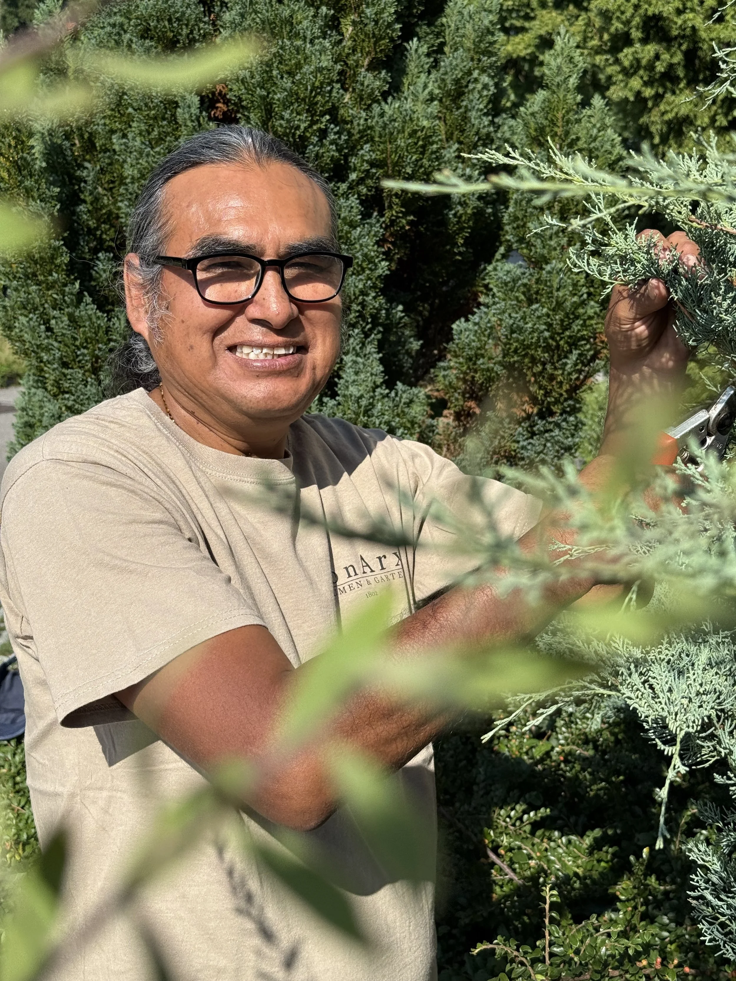Ein Mann mit schwarzen Haaren und Brille, der in einem Garten mit grünem Buschwerk arbeitet, hält eine grüne Pflanze in der Hand.