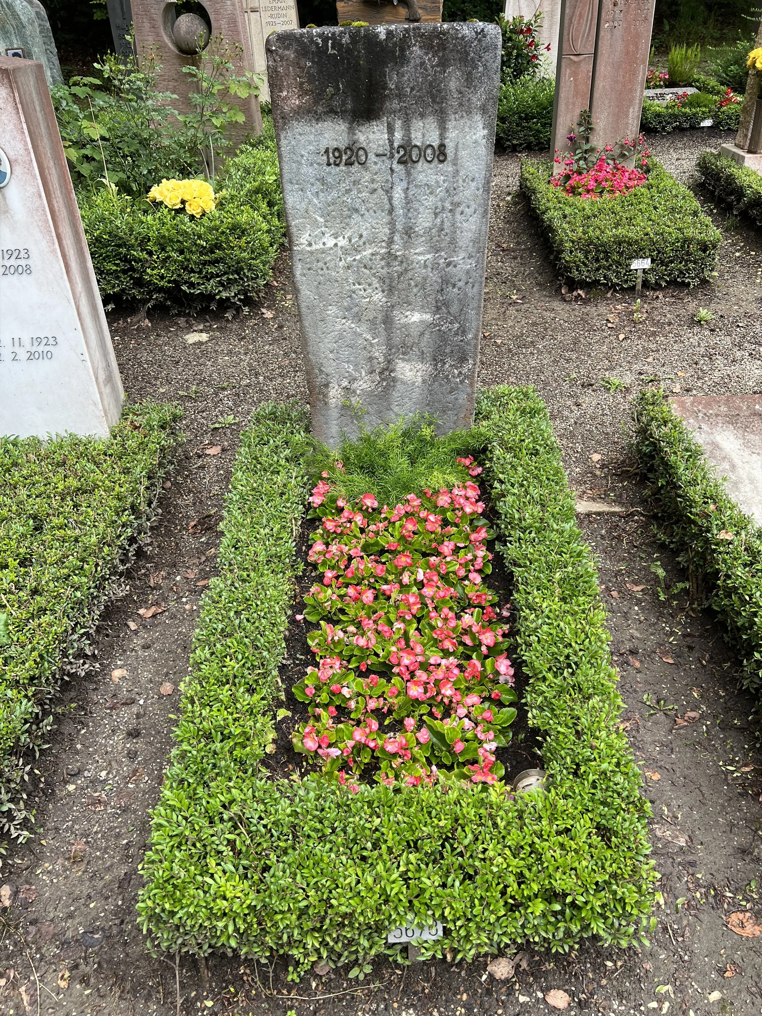 Grüner Garten mit kleinen Sträuchern, bunten Blumen und einem Grabstein mit der Aufschrift '1920 - 2008'.
