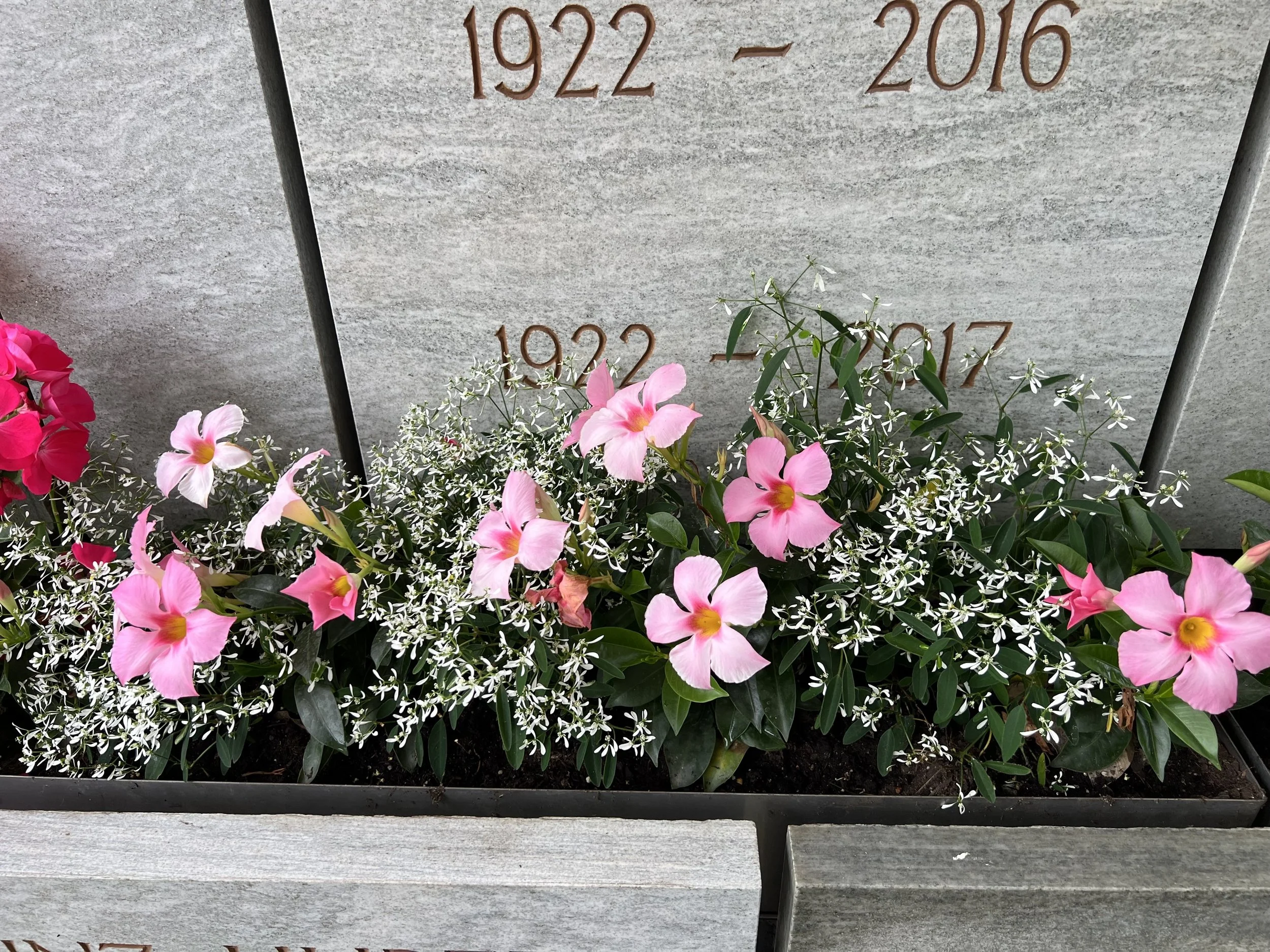 Grabstein mit Jahreszahlen 1922 bis 2017, umgeben von bunten Blumen wie Petunien, vor einer grauen Steinwand.