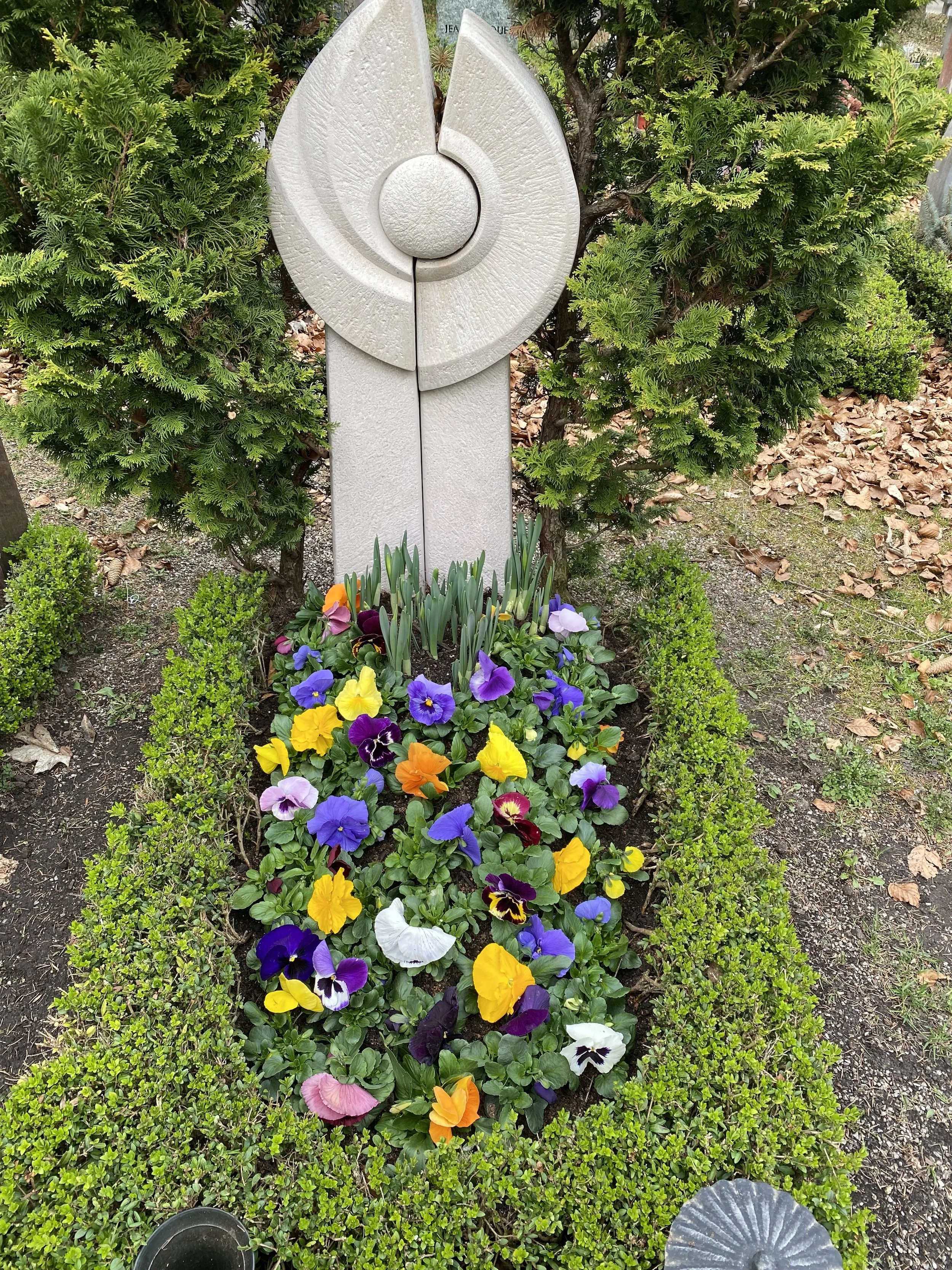 Blumenbeet mit bunten Veilchen, auf dem Bürgersteig, umrahmt von kleinen, grünen Sträuchern, im Hintergrund grüne Büsche und Bäume, einige Laubblätter auf der Erde, Fußschuhe in den Ecken des Bildes.
