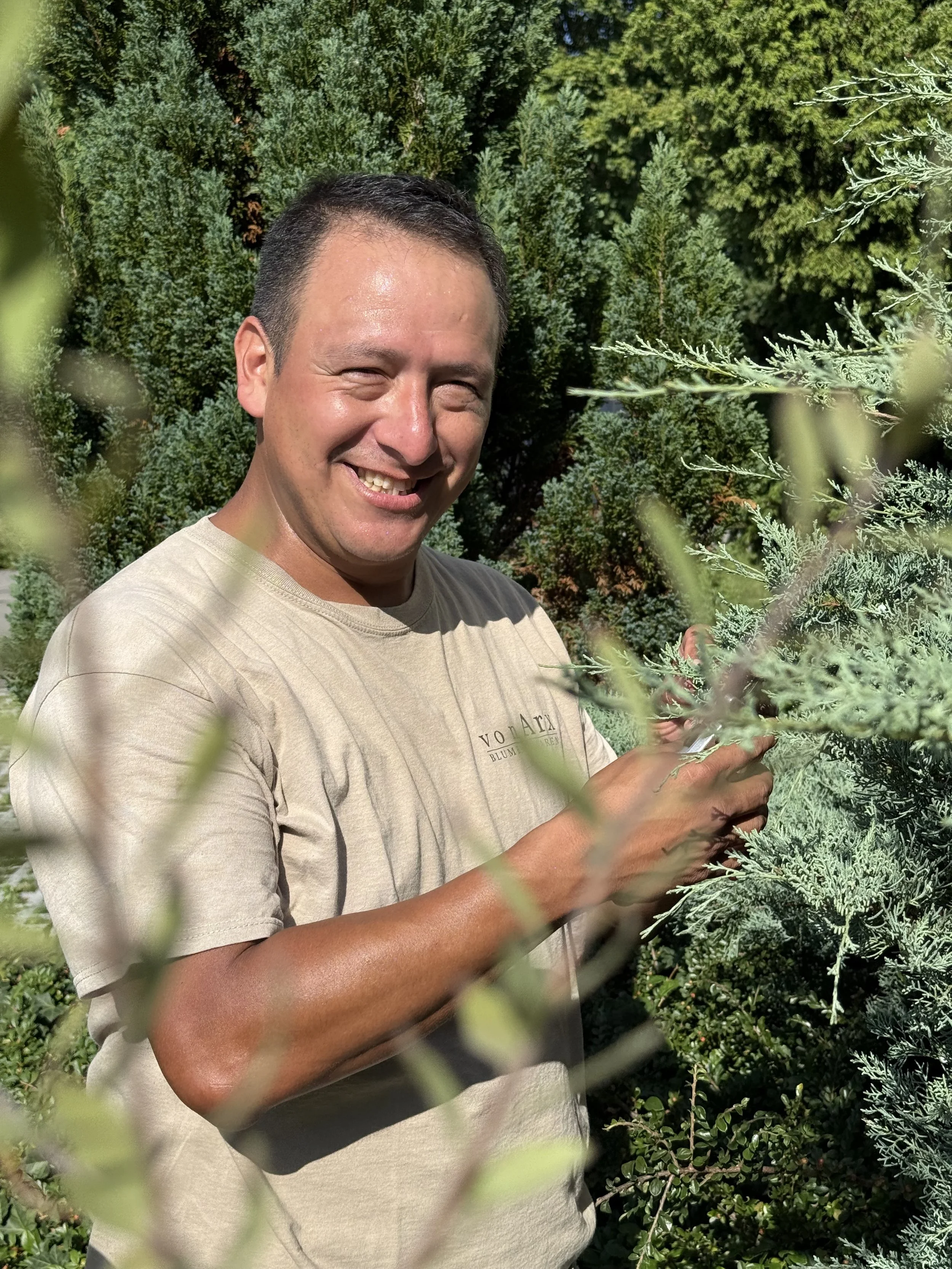Junger Mann in einem beige T-Shirt, lächelnd, vor einer grünen Hecke, hält eine weiße Pflanze in den Händen, an einem sonnigen Tag im Garten.