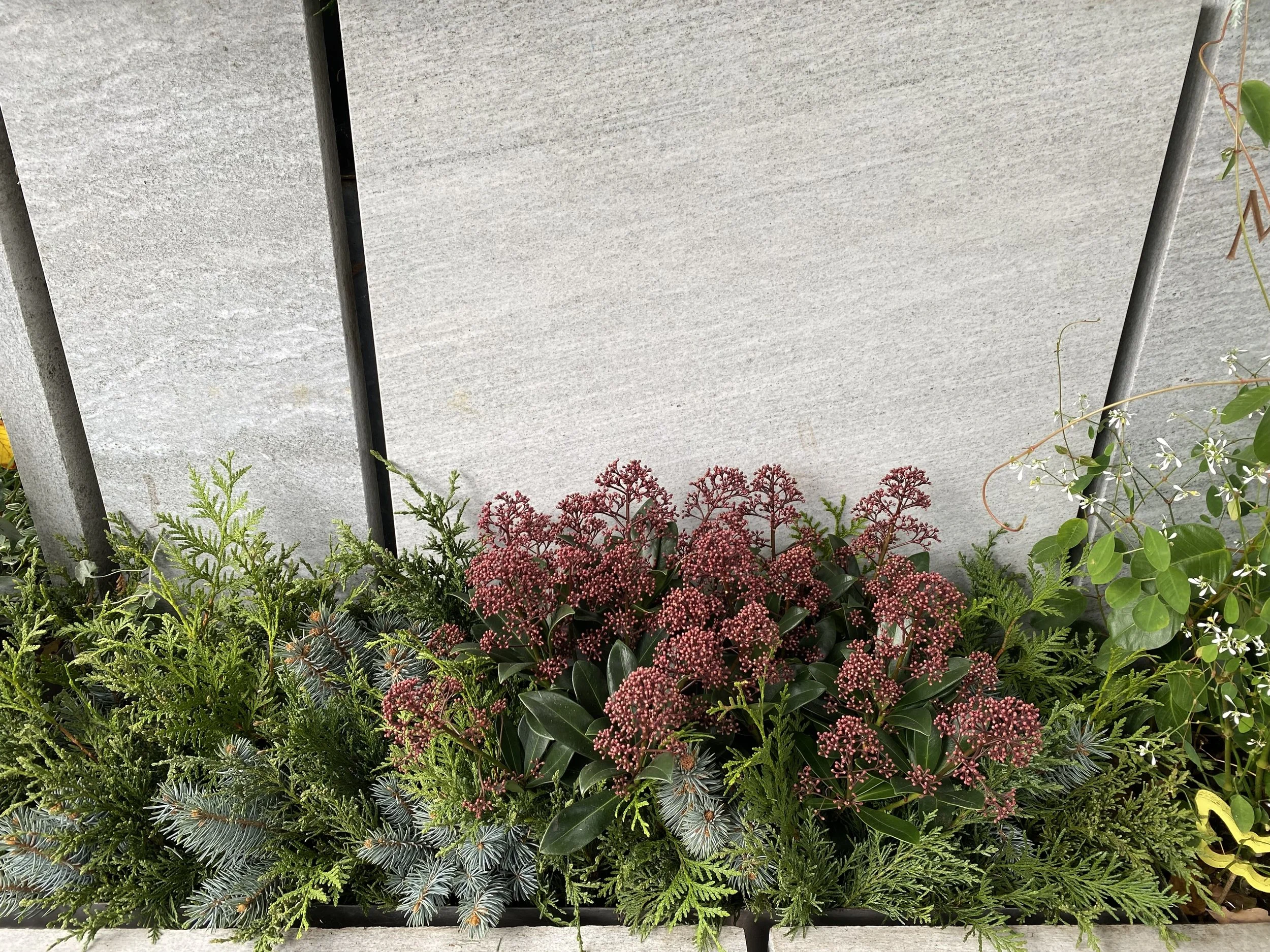 Bunte Pflanzen und Blüten vor einer Steinmauer.