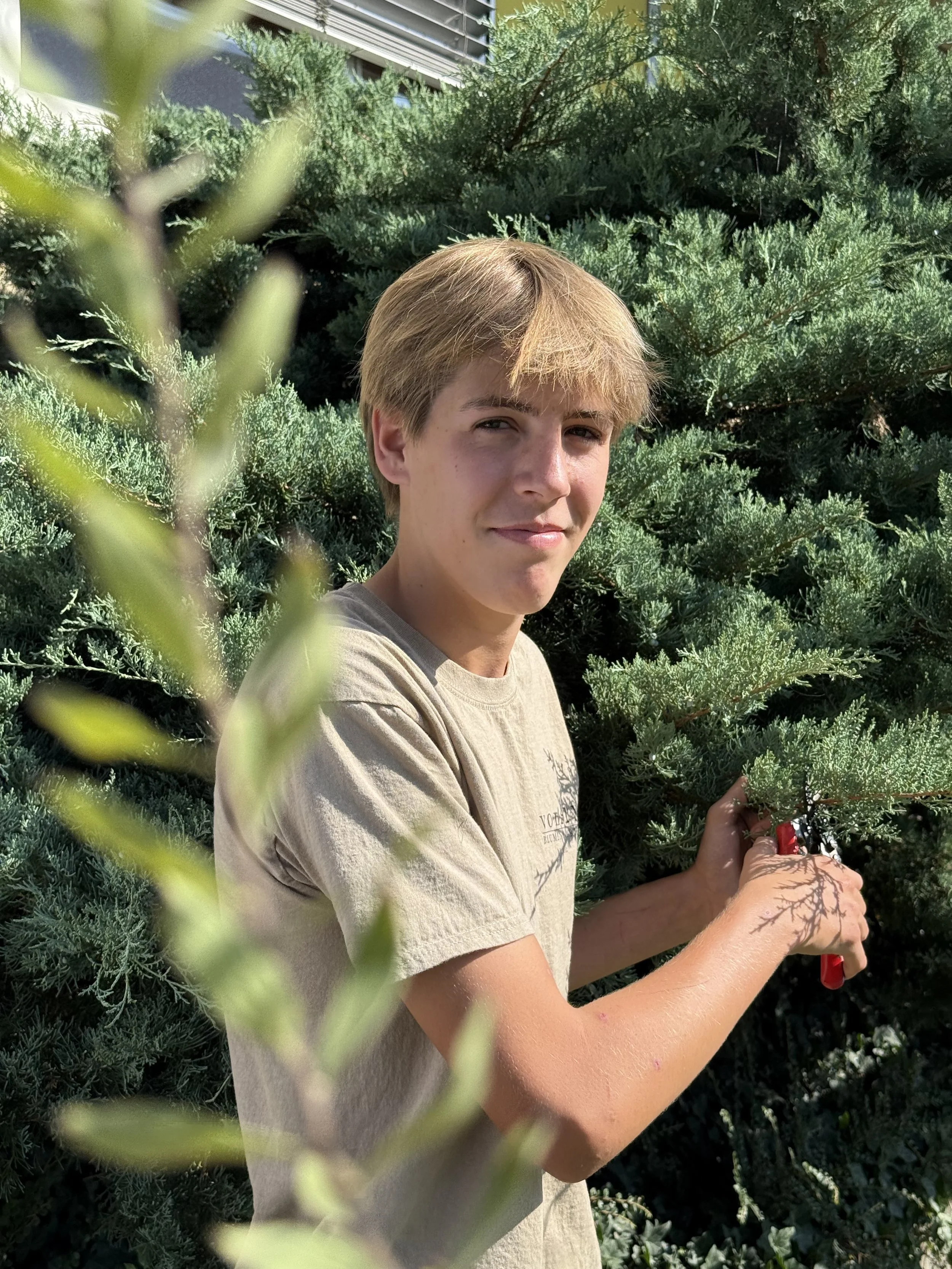 Junge Person mit blonder Kurzhaarfrisur, trägt ein helles T-Shirt, arbeitet im Garten mit einer Gartenschere, umgeben von grünen Sträuchern.