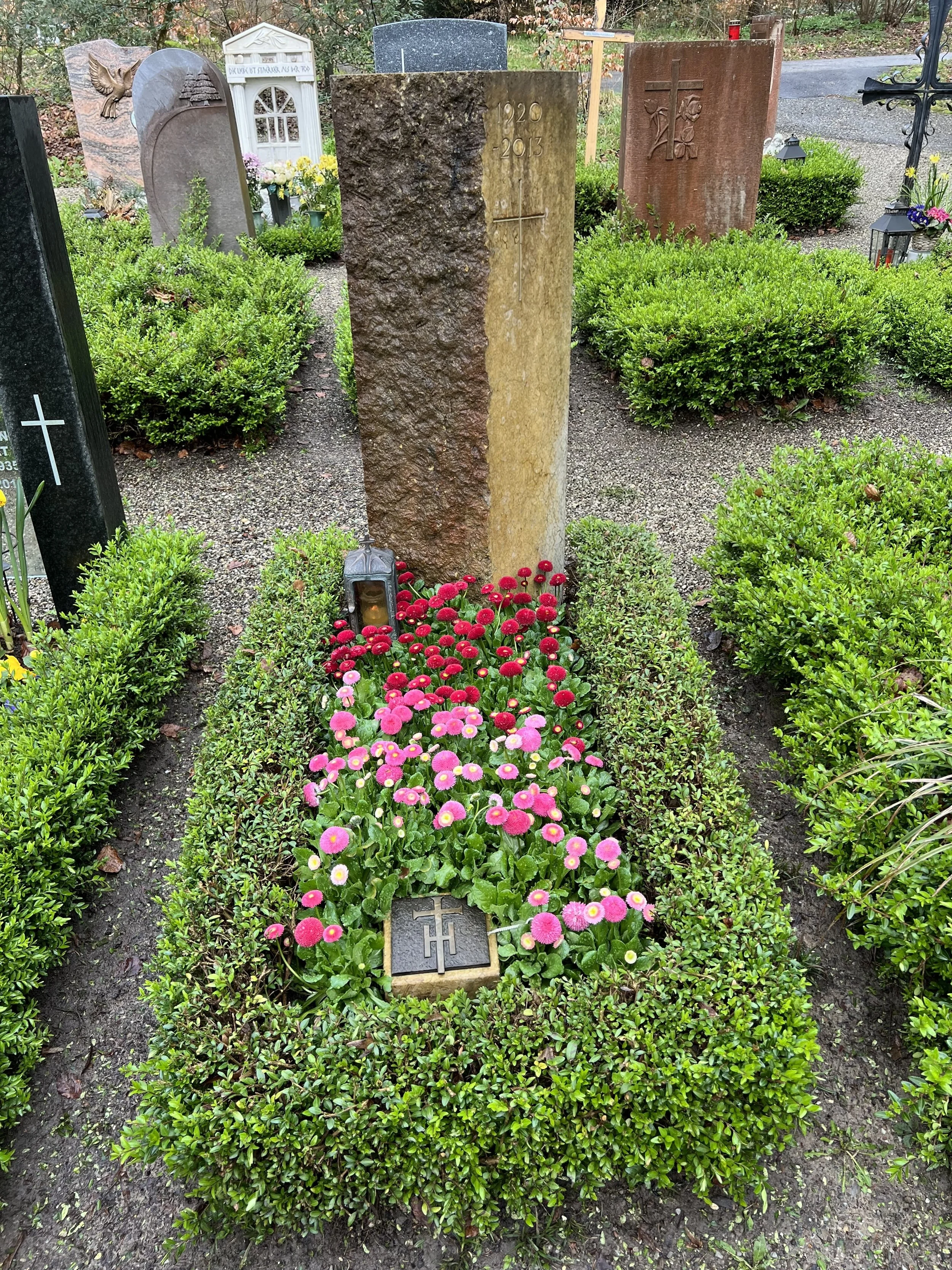 Blick auf einen Friedhof mit mehreren Grabsteinen, umgeben von grünen Büschen und bunten Blumen, darunter viele kleine pinkfarbene Blumen im Vordergrund.