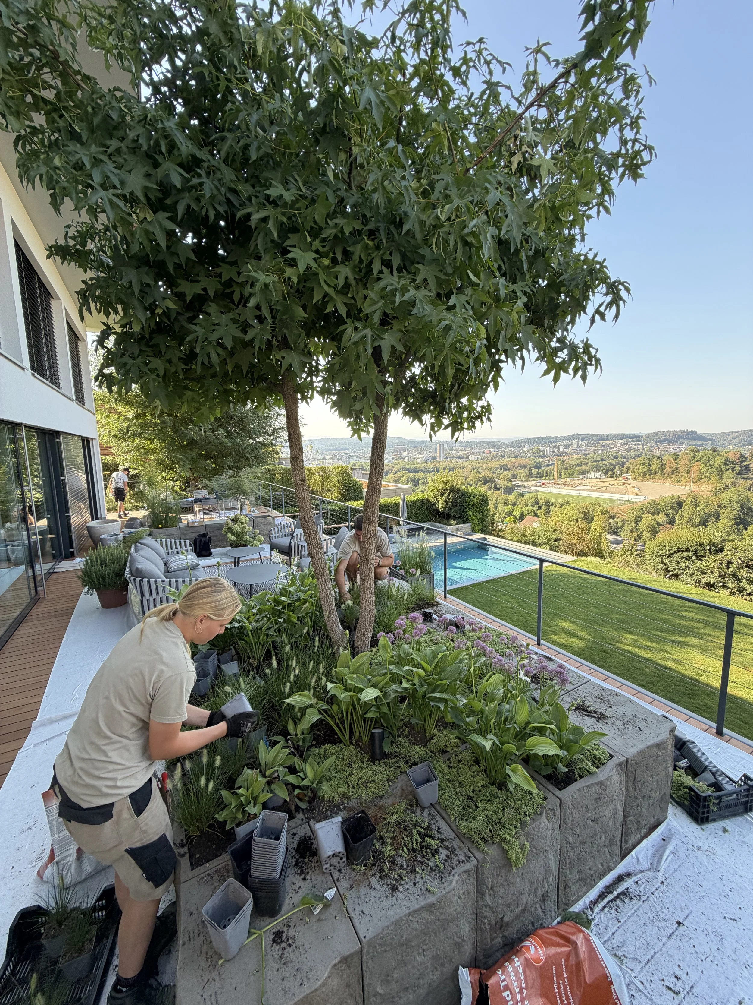 Menschen pflanzen Blumen in einem großen Garten auf einer Terrasse mit Blick auf die Stadt und Landschaft im Hintergrund.