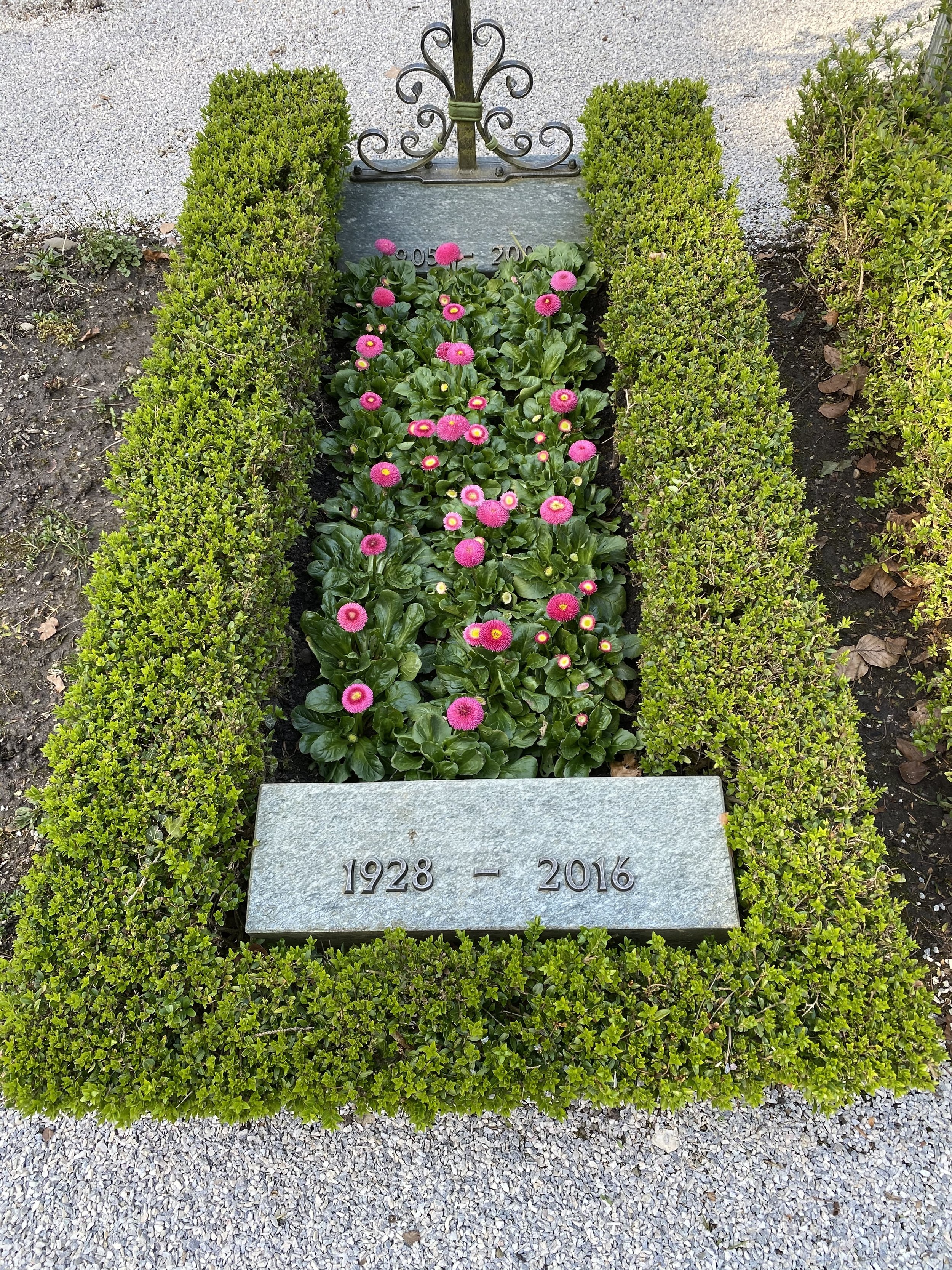 Grabstein mit den Daten 1928 - 2016, umgeben von grünen Sträuchern und pinkfarbenen Blumen.