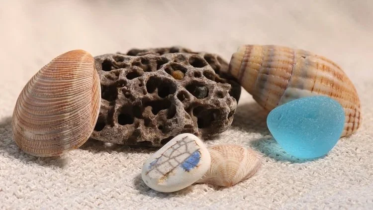 Various seashells, a piece of coral, a blue sea glass, and a small white stone with a blue and brown pattern on a sandy surface.