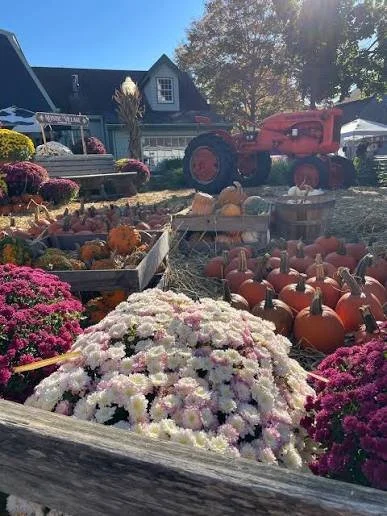 Apple Festival @ Old Mystic Village