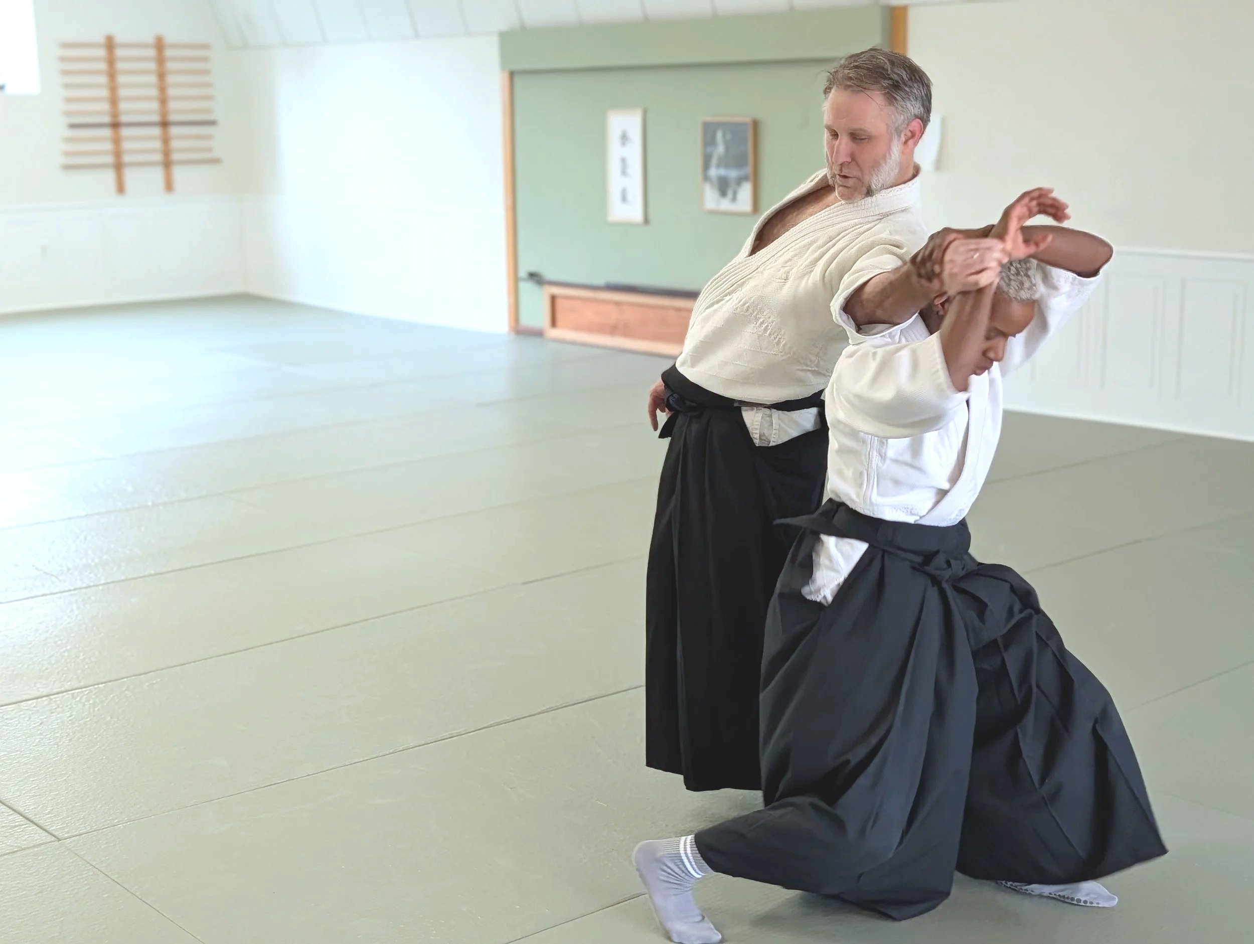Aikido of Norfolk