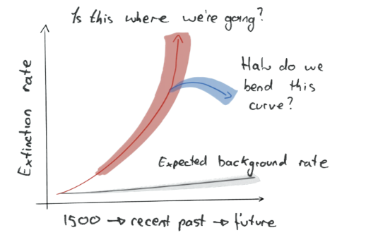 Line graph illustrating controlled rate and expected background rate over time from 1500 to future, with annotations 'Is this where we're going?', 'Half do we head this curve', and 'Expected background rate'.
