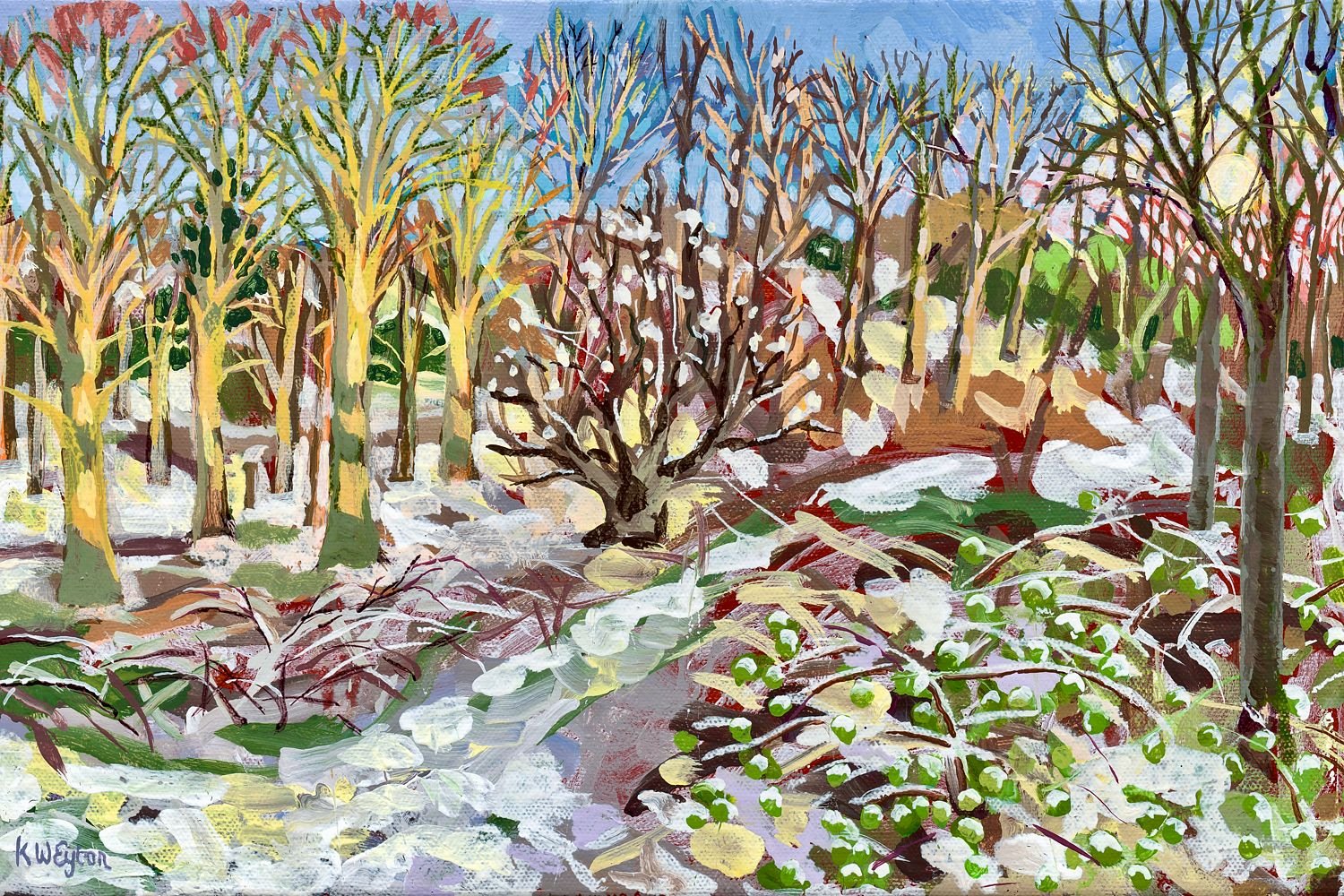 Wendover Woods in Snow