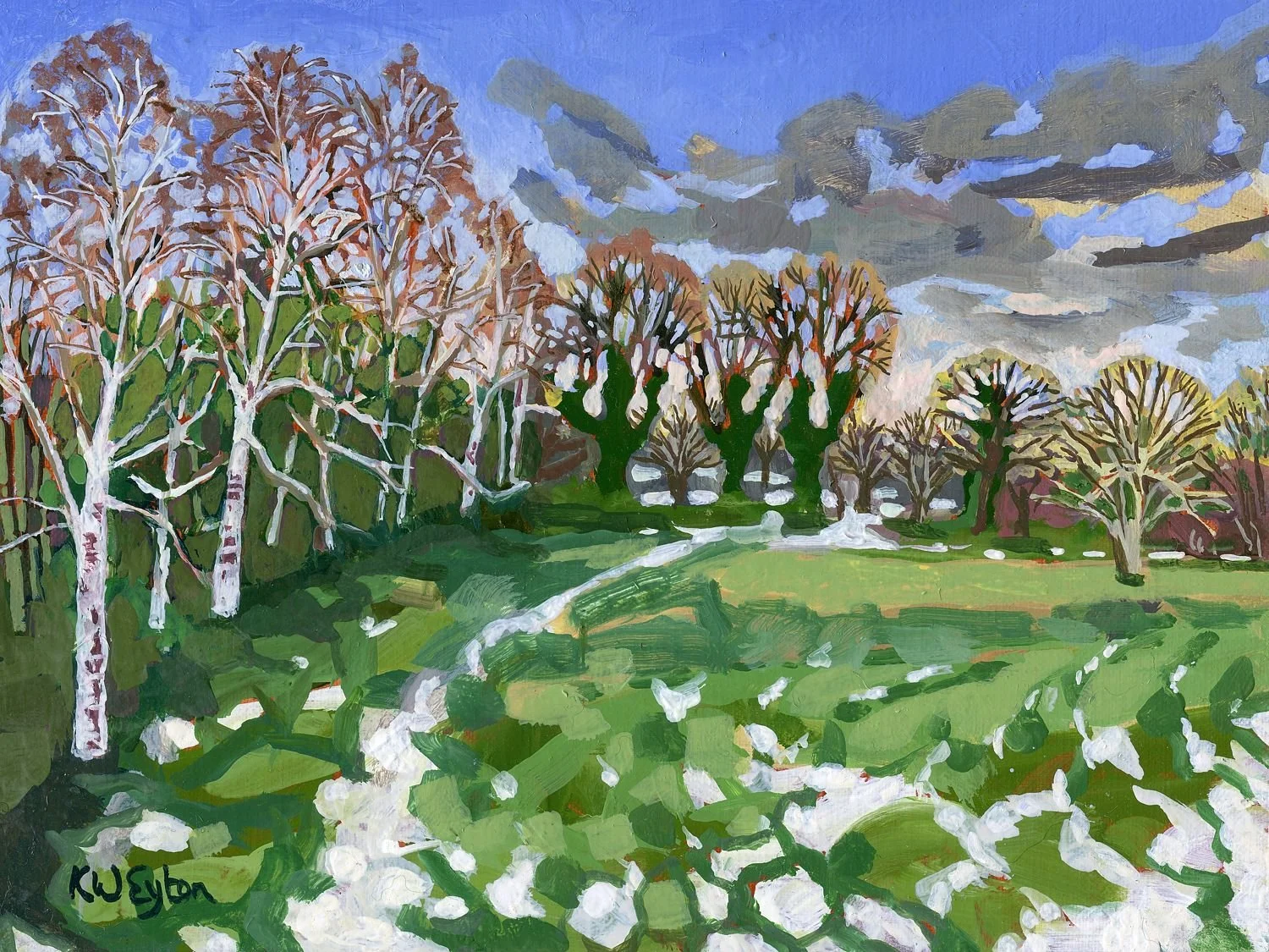 Silver Birches at the Winter Watermeadows