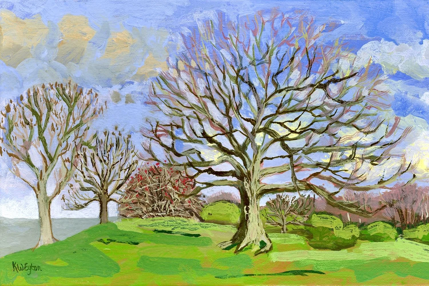 Winter Trees at Coombe Hill