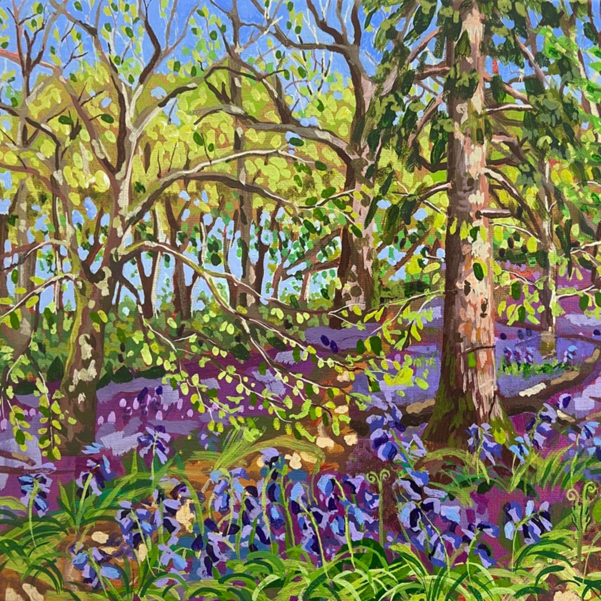 Bluebells at Wendover Woods