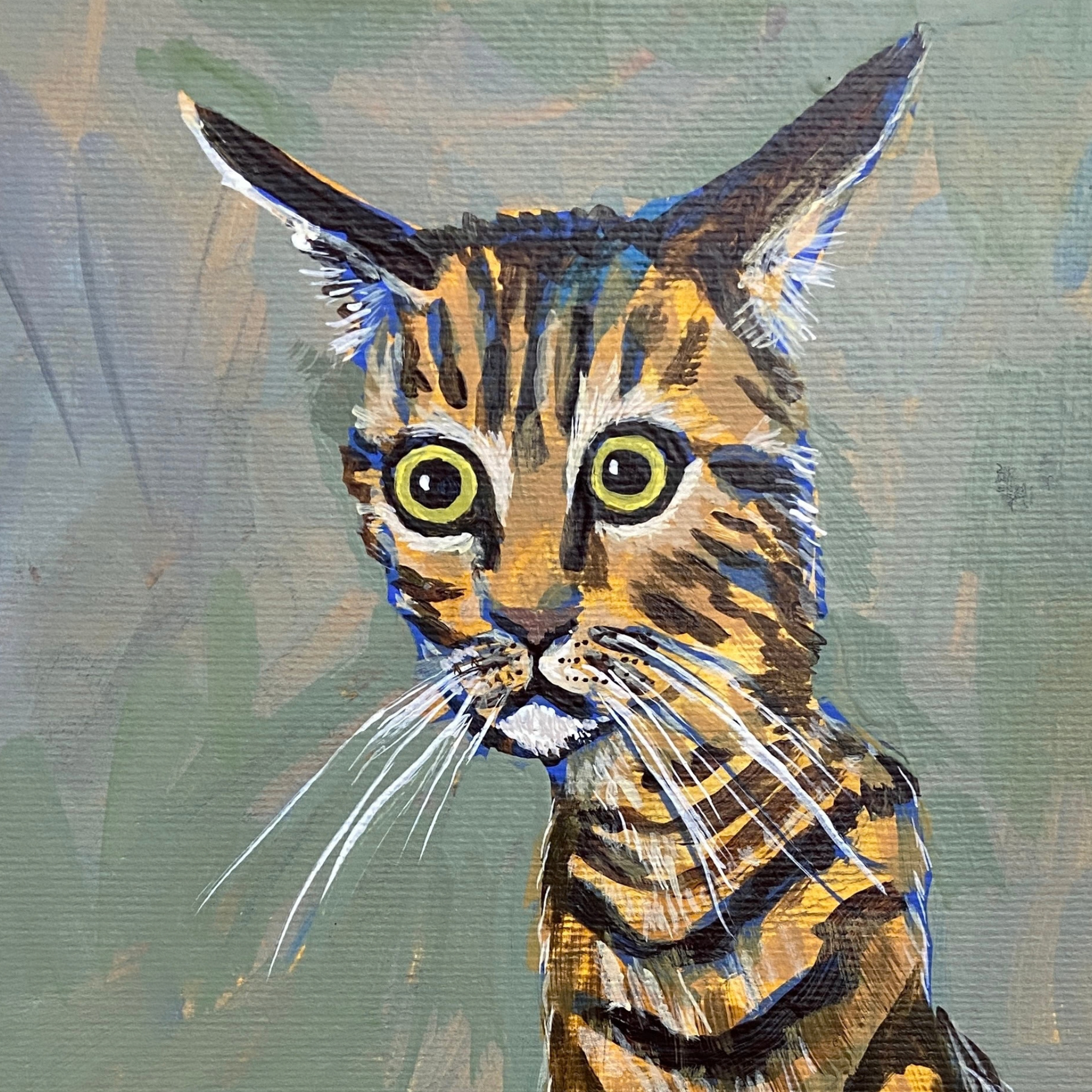 Stripy the Cat