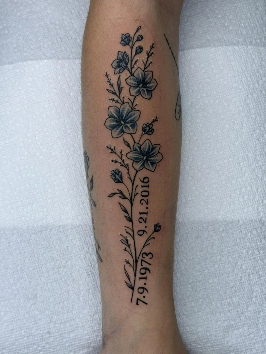 Done by Lily