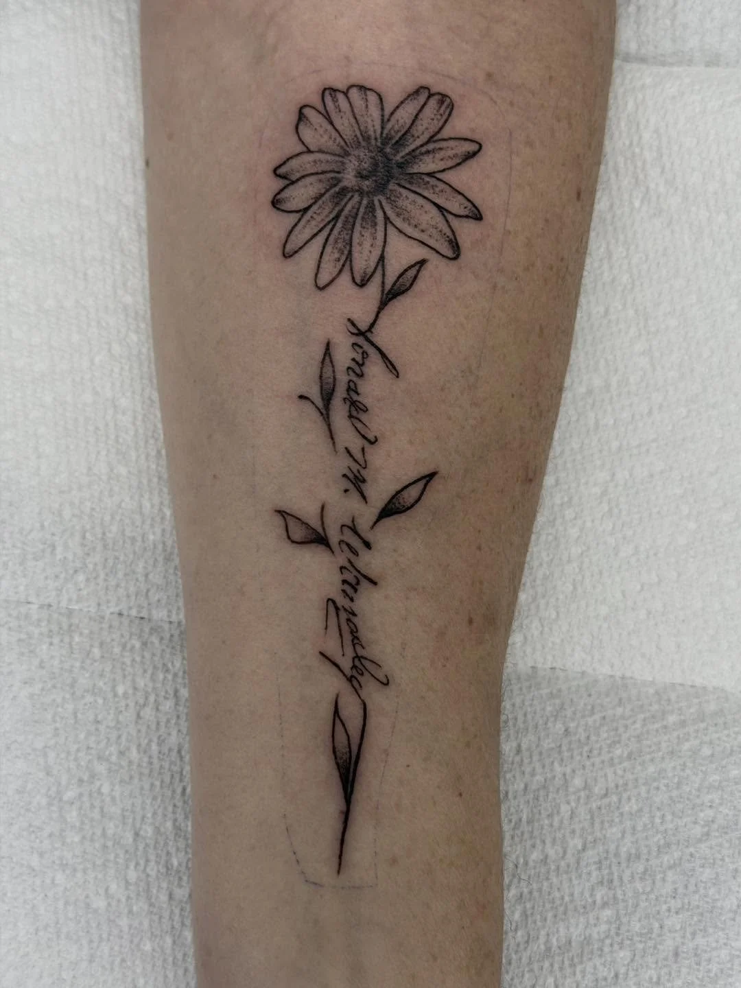 Done by Lily
