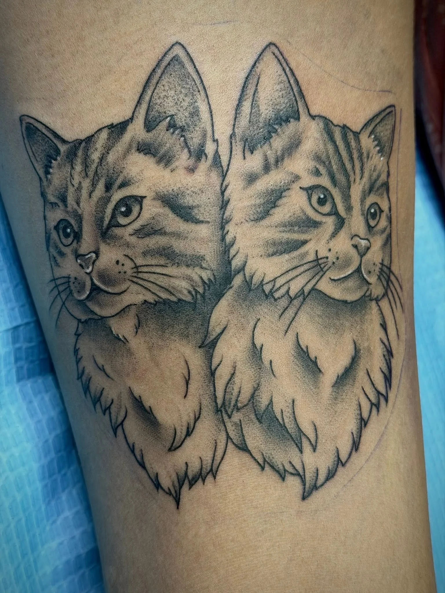 Done by Lily
